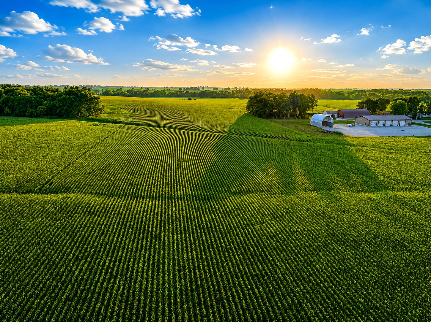 Listing Photo: Alpha-Iowa-Farmland-Available