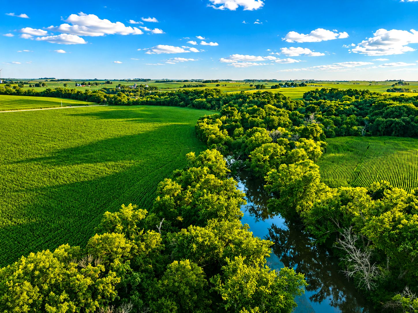 Listing Photo: Alpha-Iowa-Recreational-Land