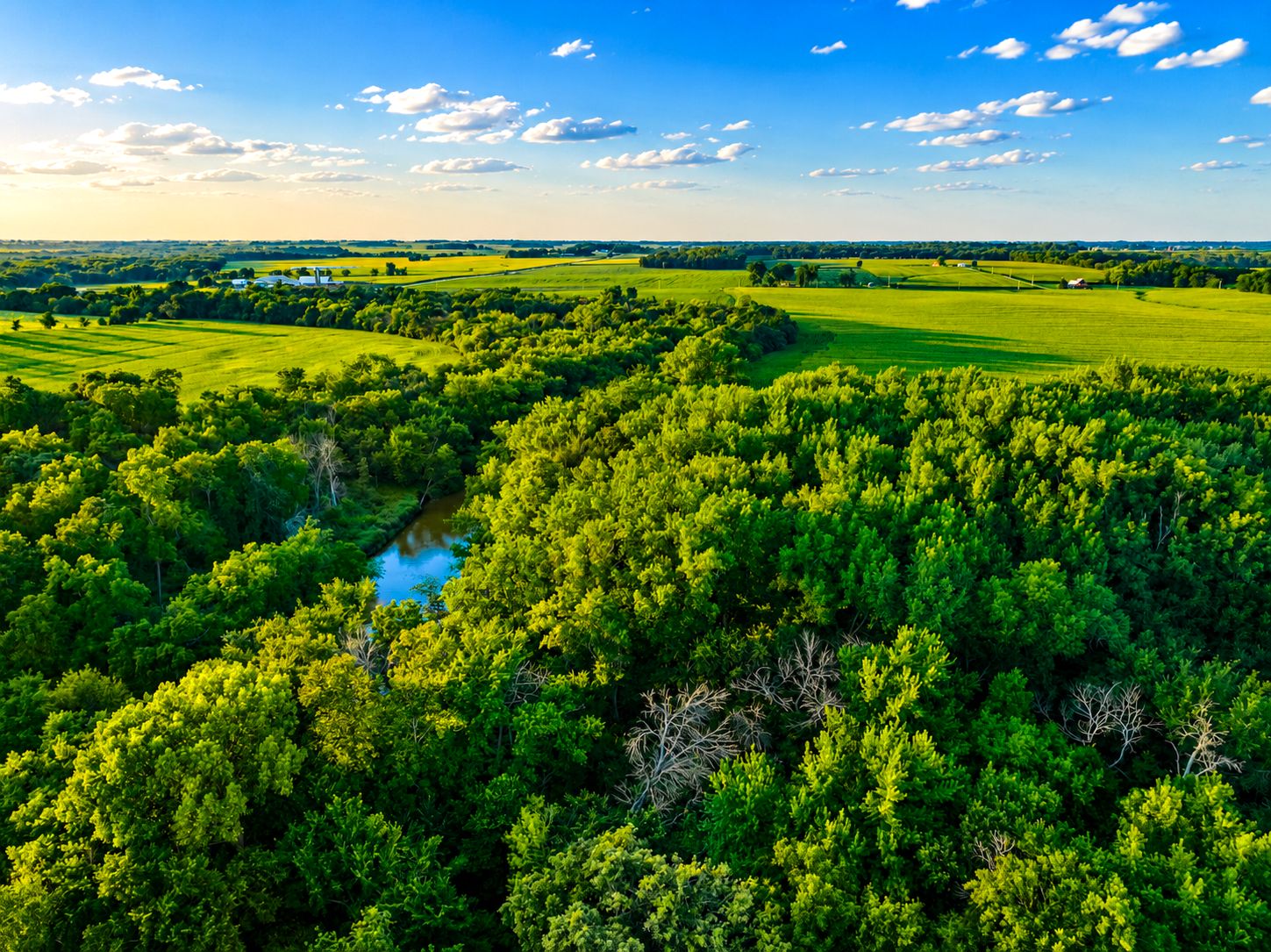 Listing Photo: Fayette-County-Rec-Land