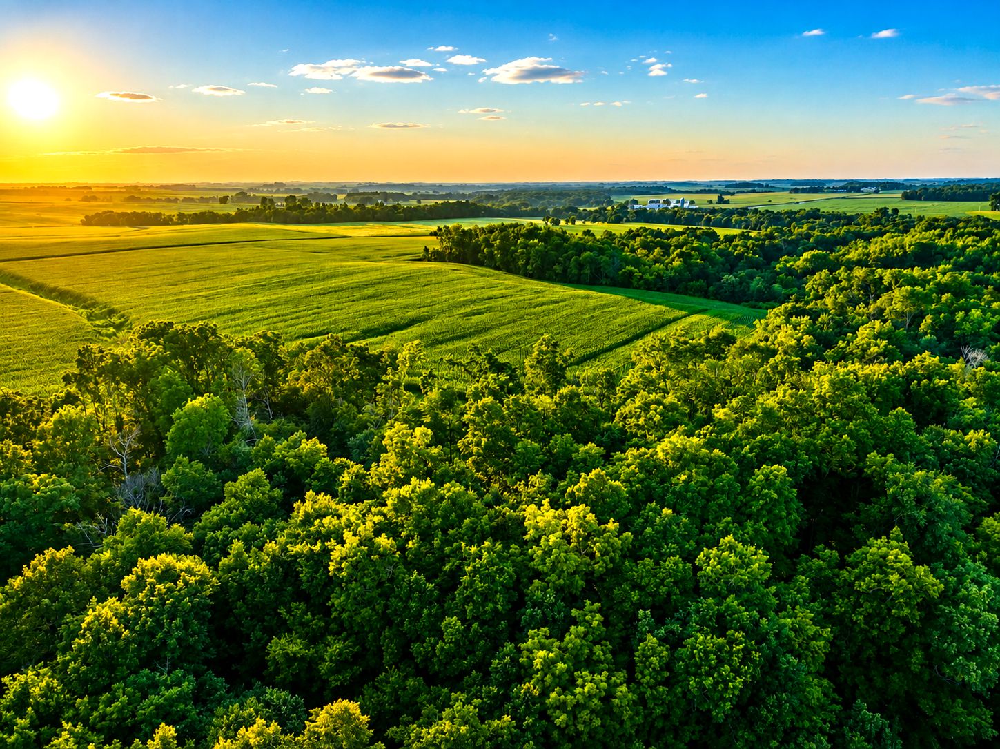 Listing Photo: Fayette-County-IA-Farm