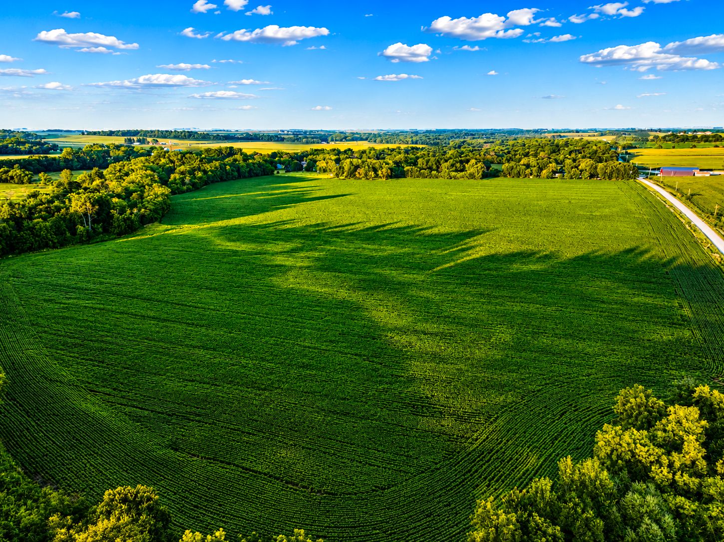 Listing Photo: Fayette-Farmland-Available