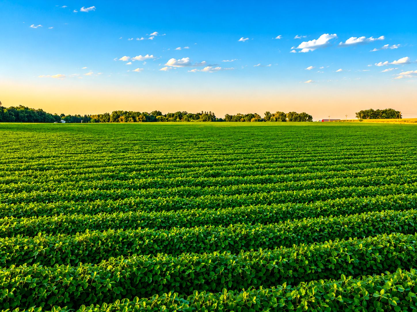 Listing Photo: Farm-Listing-For-Sale-Iowa