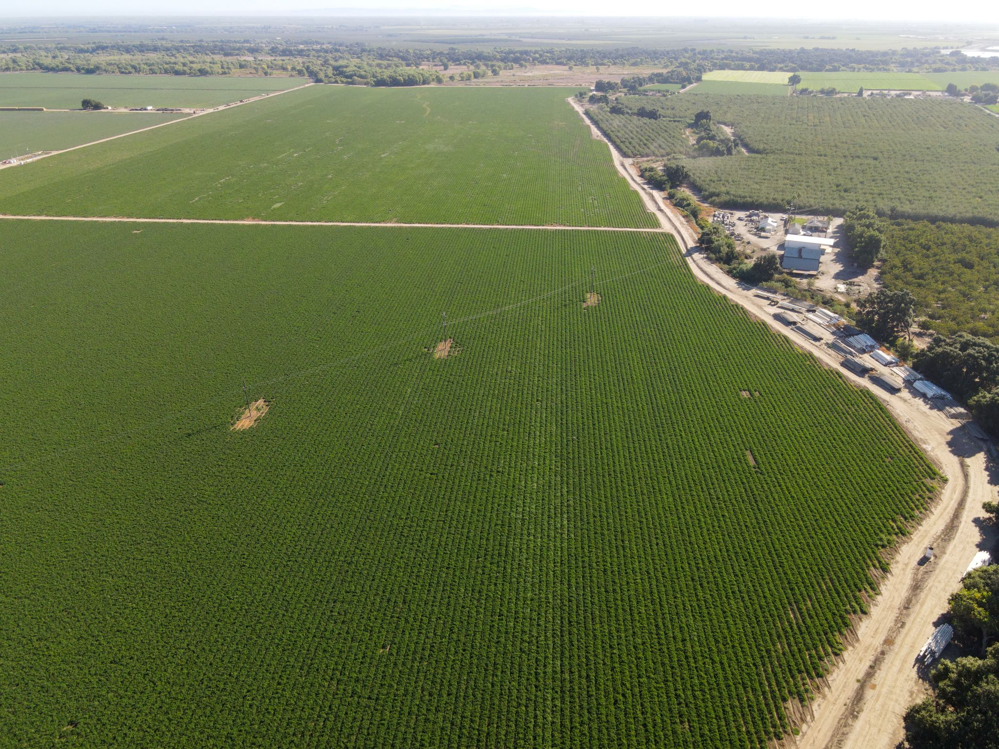 Listing Photo: Stanislaus-County-459-Acres-Farmland-Sale