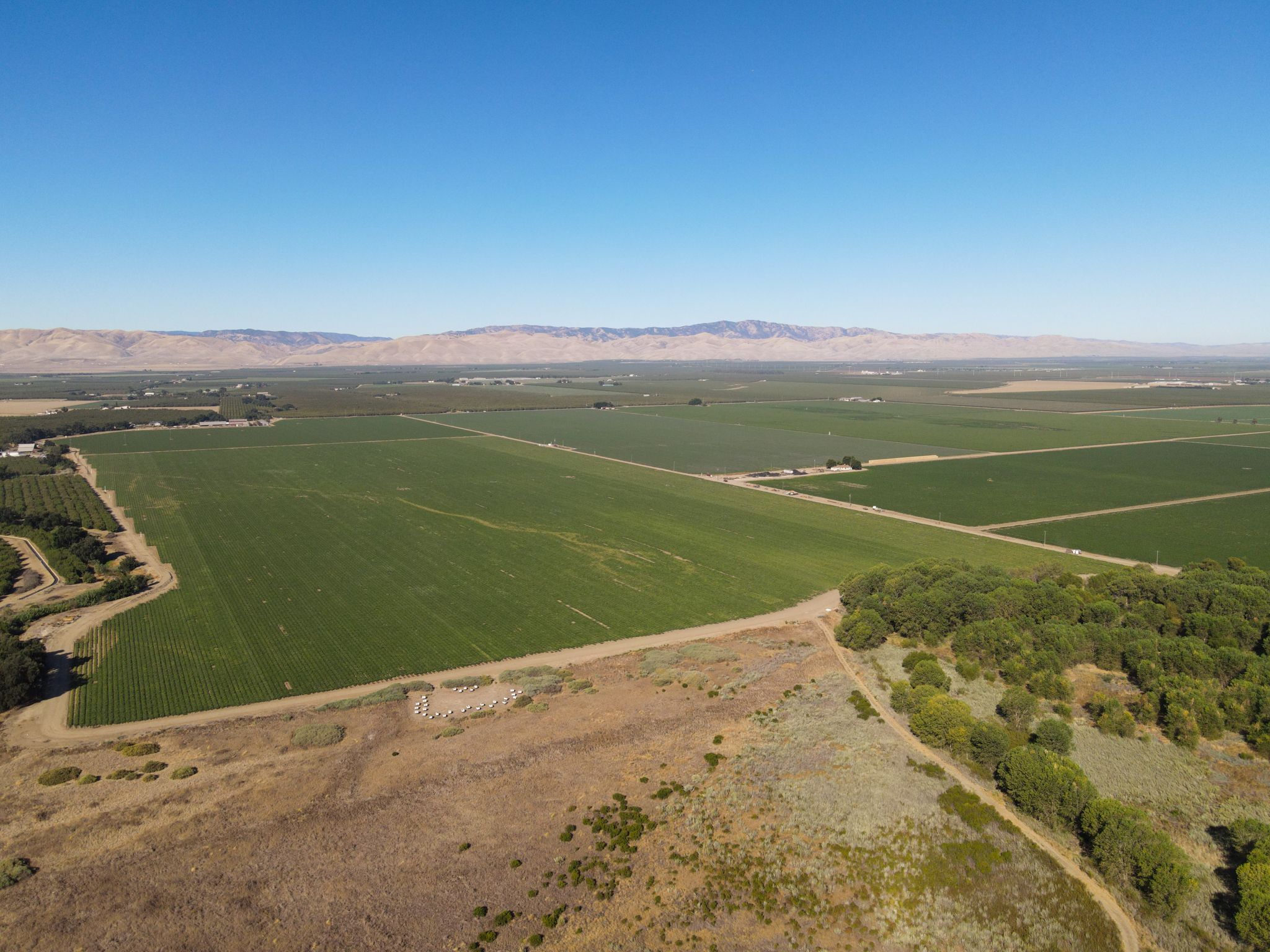 Listing Photo: Stanislaus-County-459-Acres-Farmland-Sale