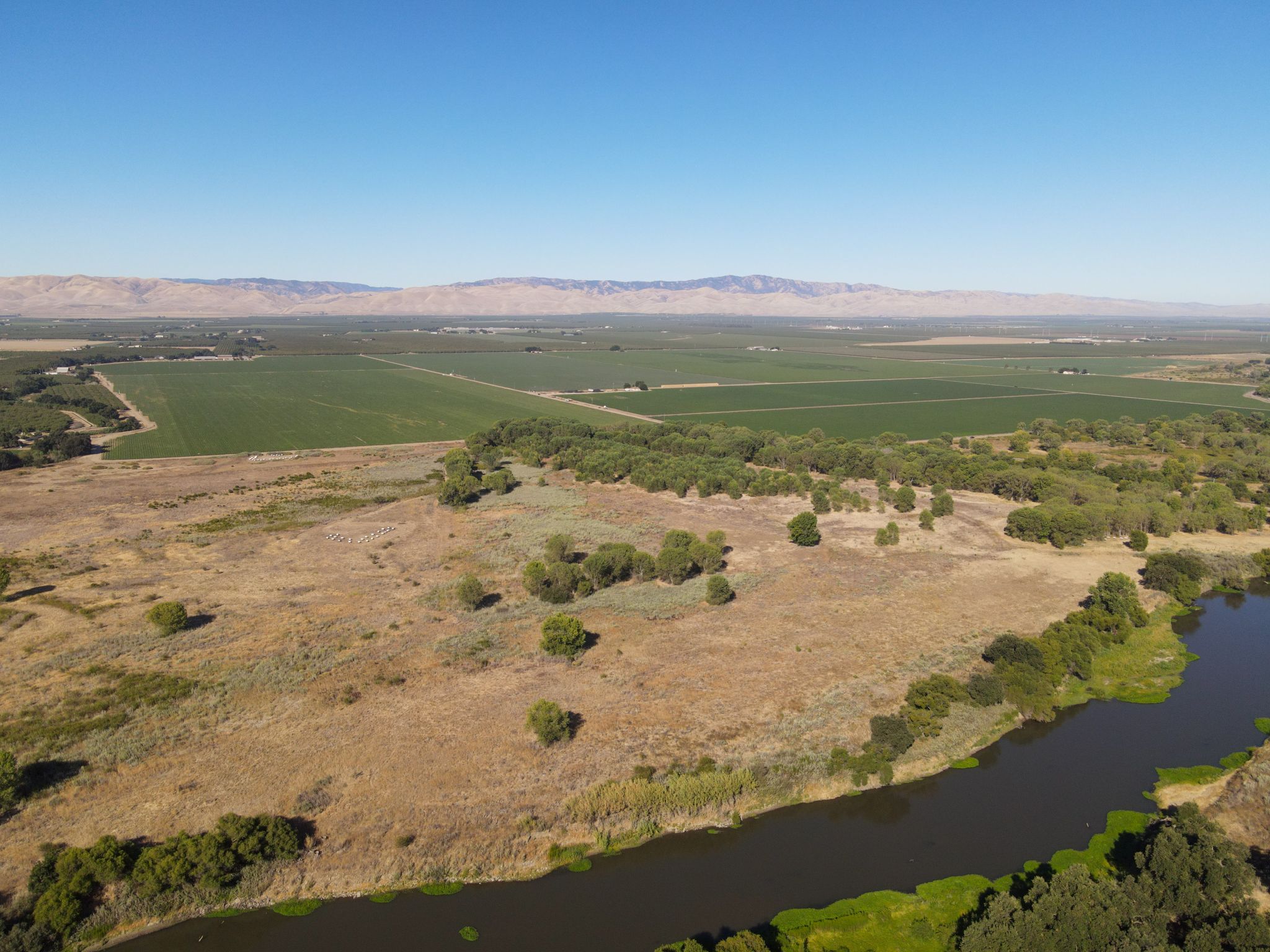 Listing Photo: Stanislaus-County-459-Acres-Farmland-Sale