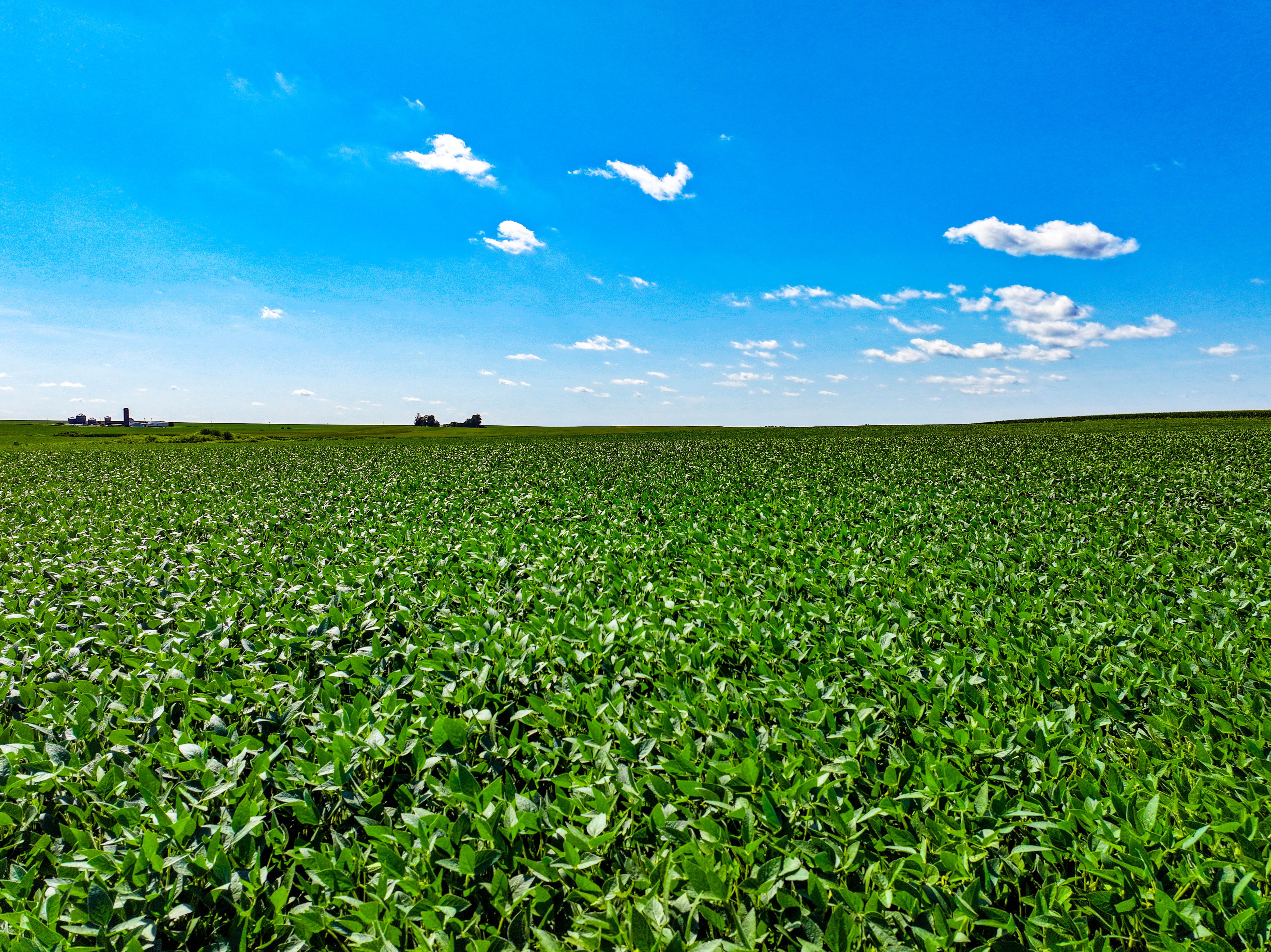 Listing Photo: Fayette-Co-Farmland-Available