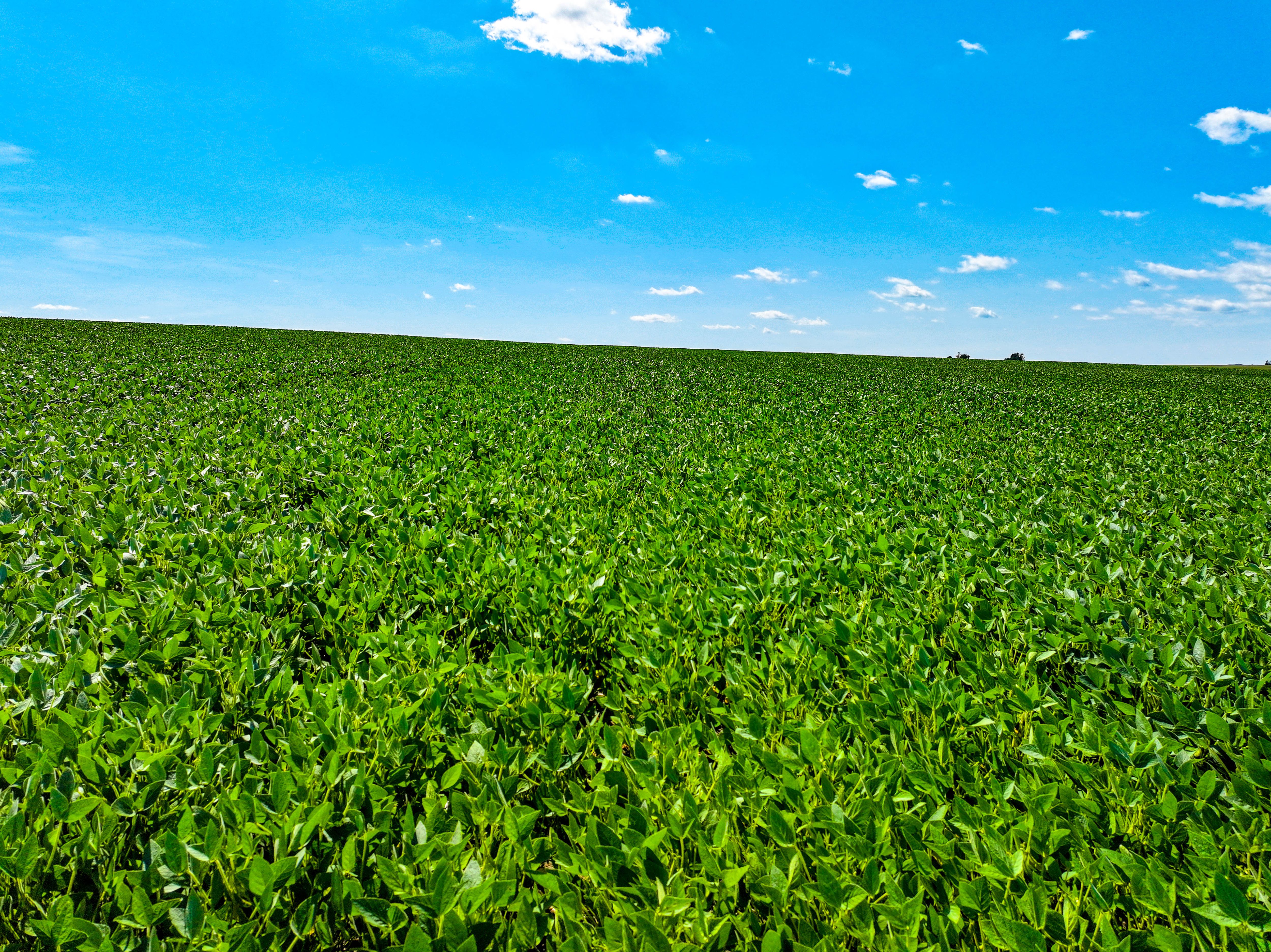 Listing Photo: Fayette-County-Land-Auction