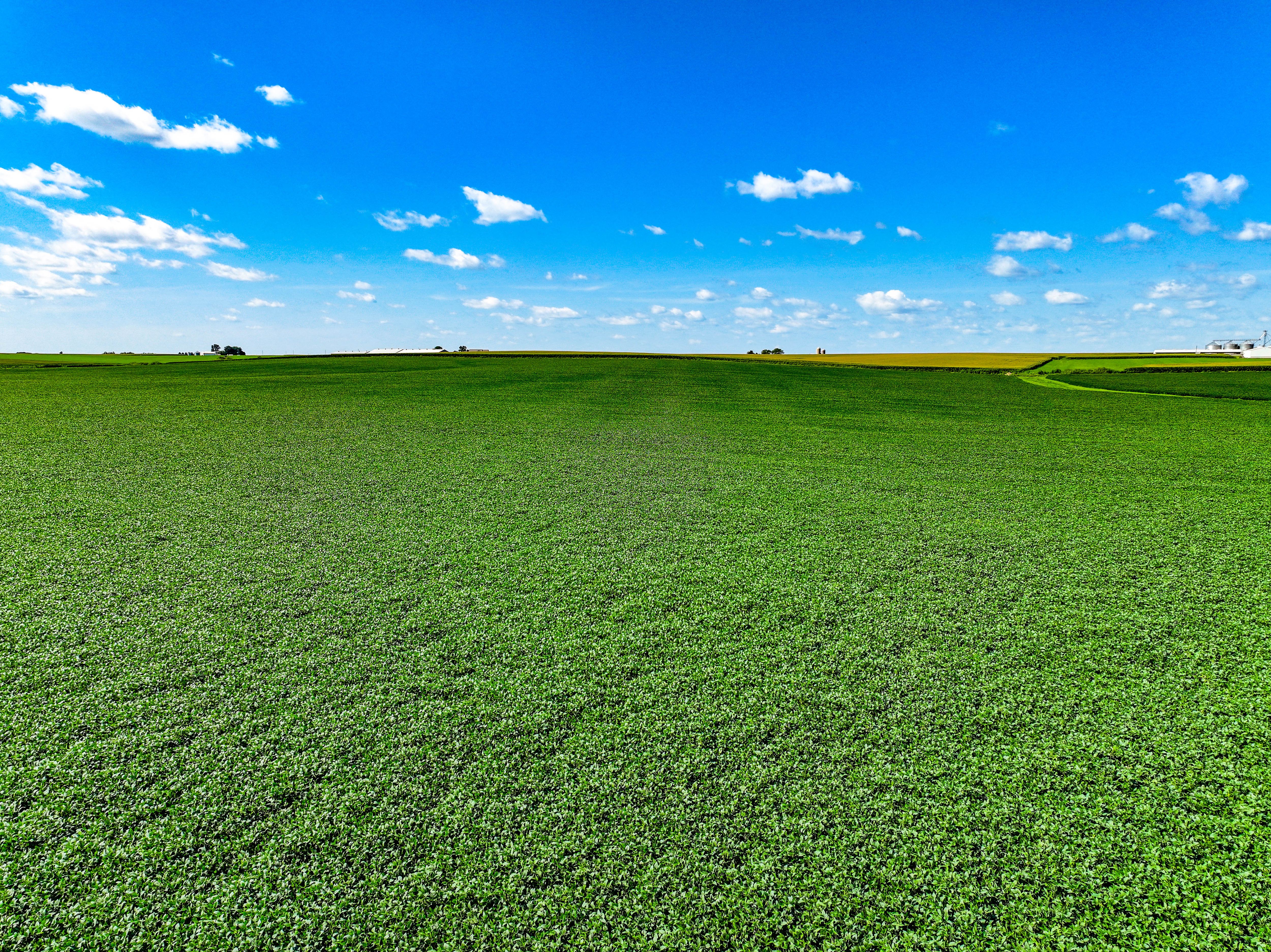 Listing Photo: Maynard-Land-For-Sale-Opportunity