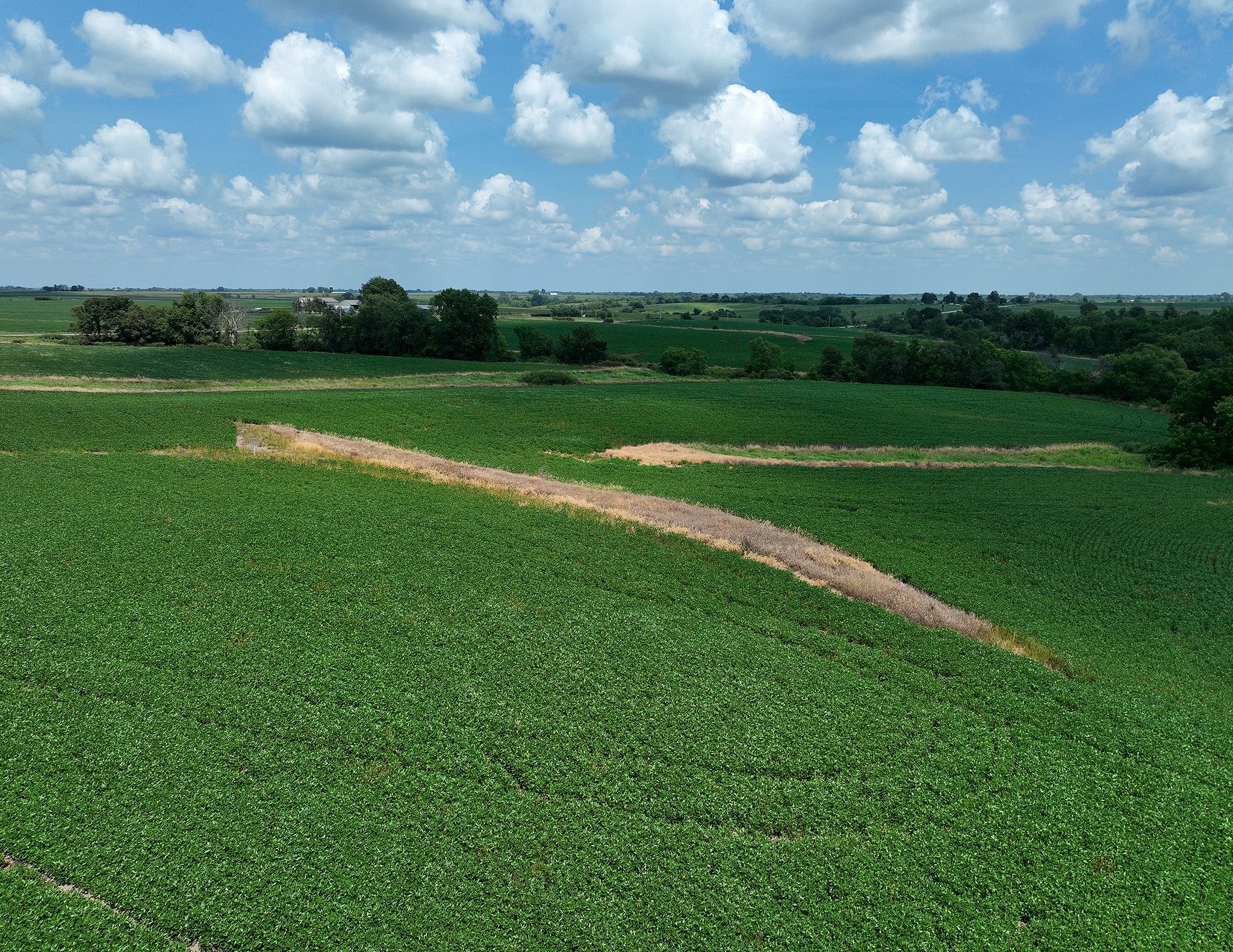 Listing Photo: DJI_0629