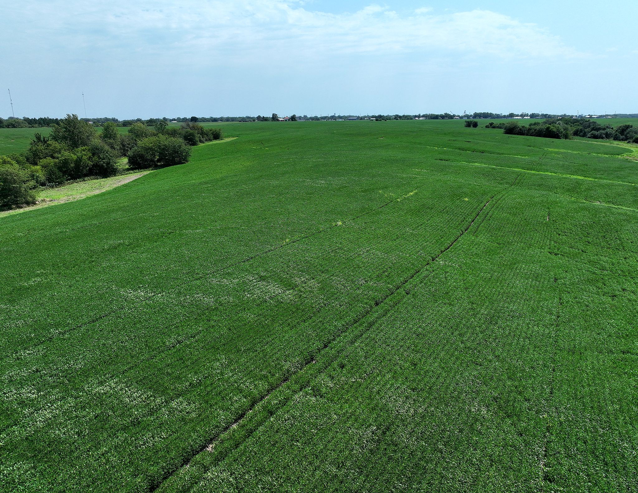 Listing Photo: DJI_0641