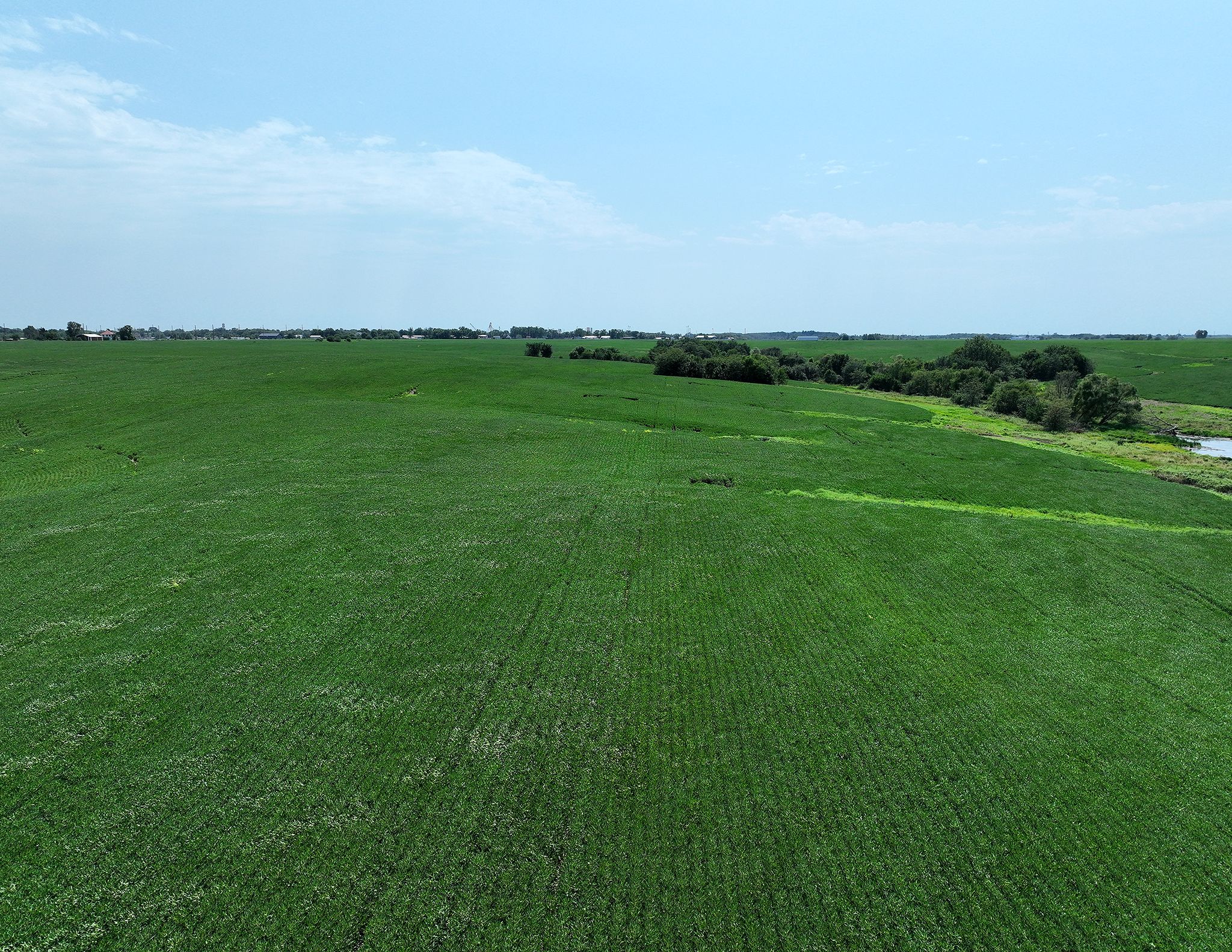 Listing Photo: DJI_0642
