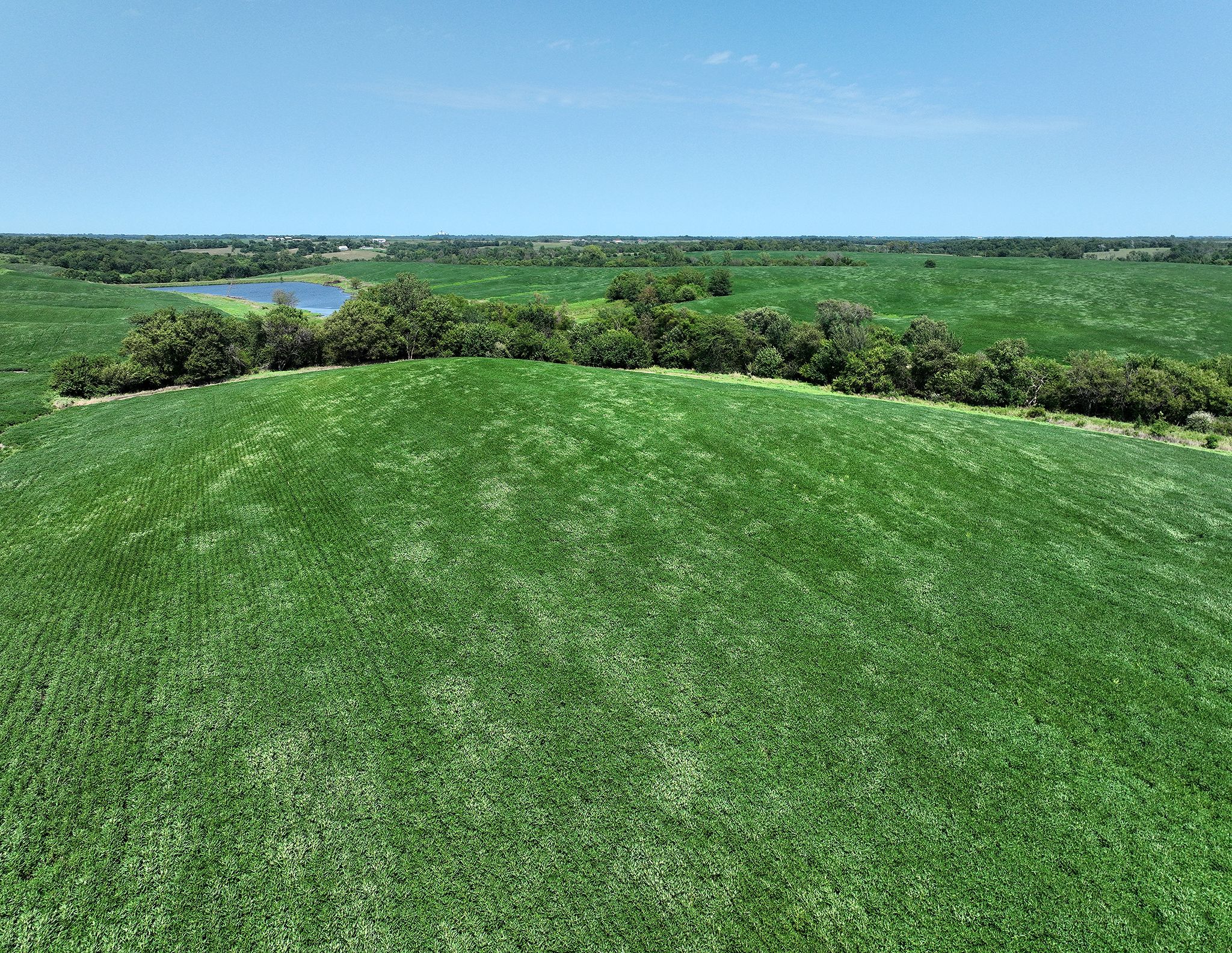 Listing Photo: DJI_0655