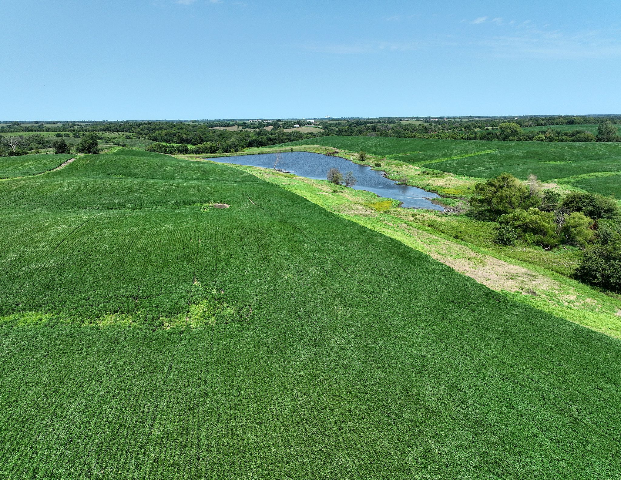 Listing Photo: DJI_0656