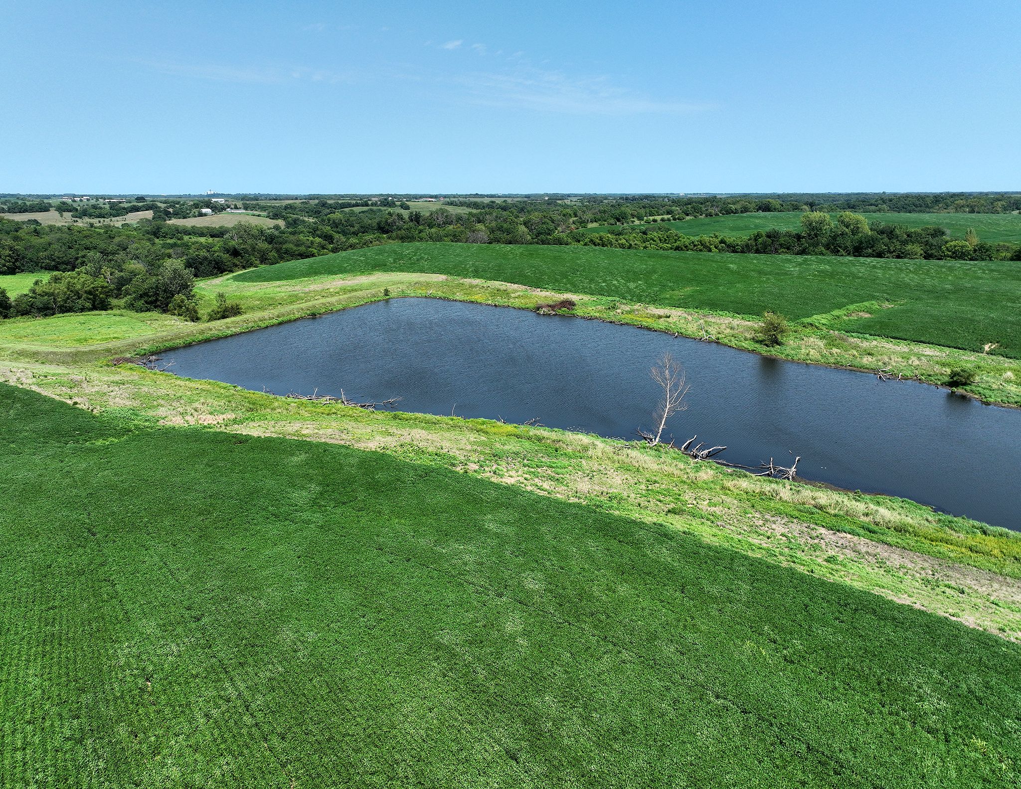Listing Photo: DJI_0658