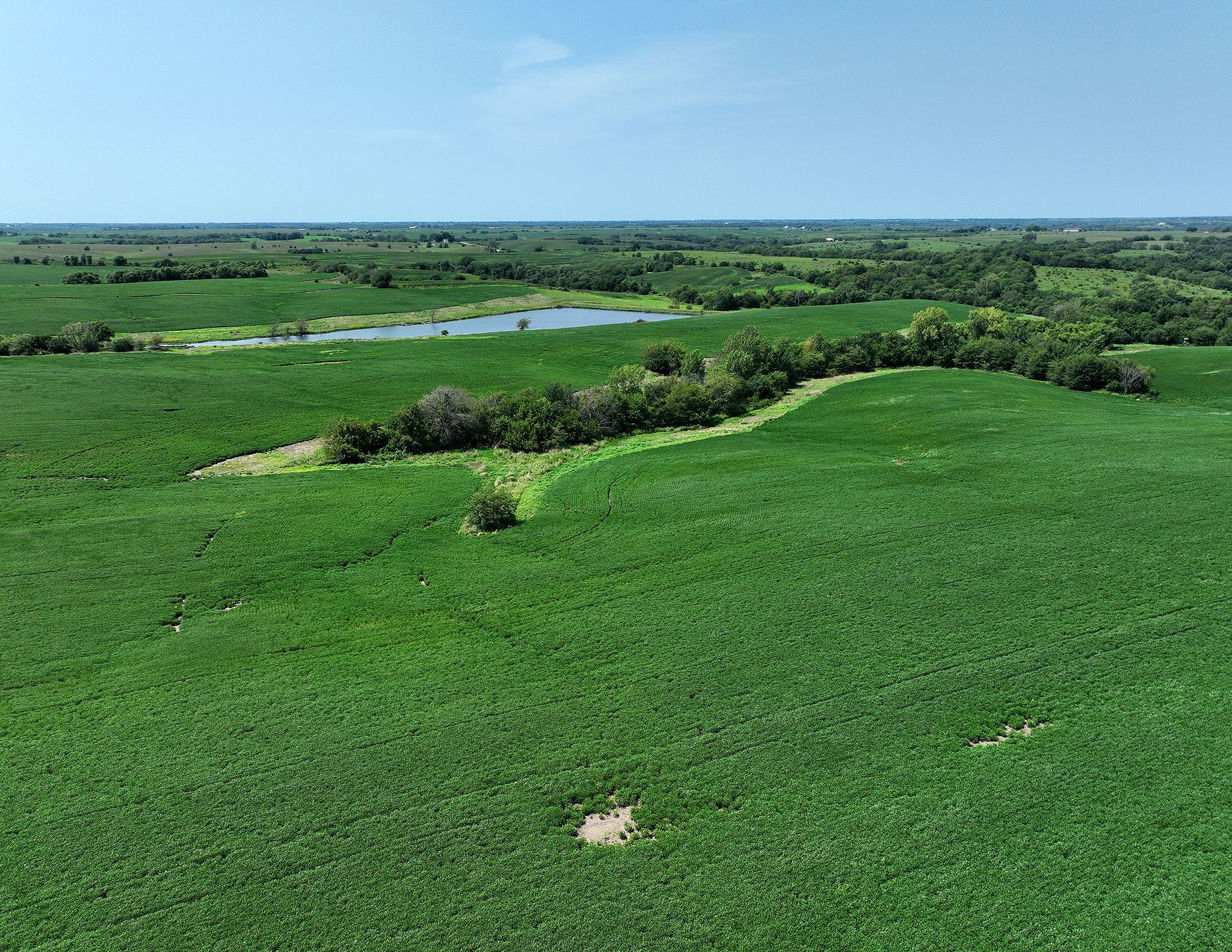 Listing Photo: DJI_0661