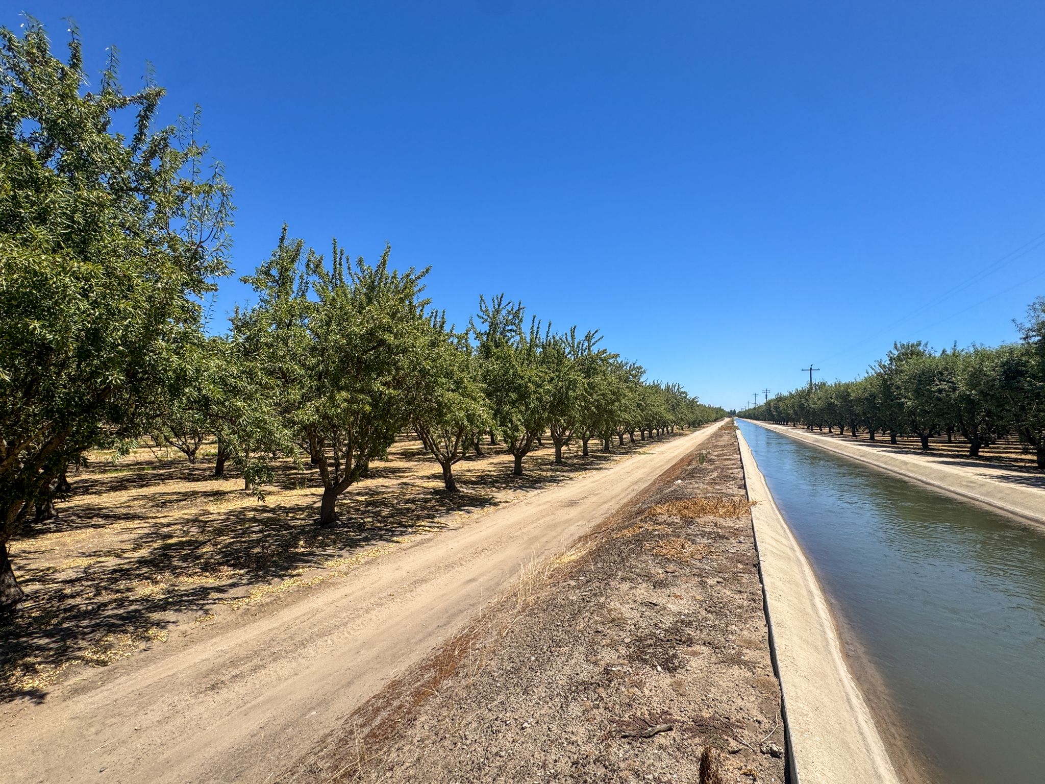 Listing Photo: San-Joaquin-County-32-Acres-Almond-Orchard-Sale