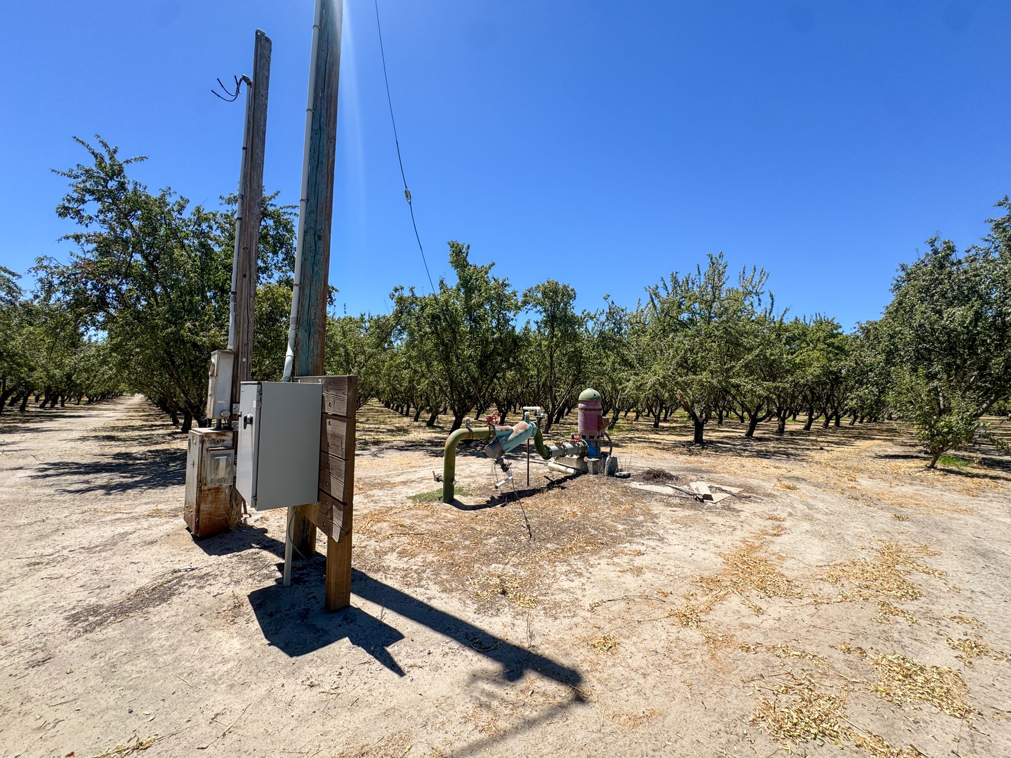 Listing Photo: San-Joaquin-County-32-Acres-Almond-Orchard-Sale