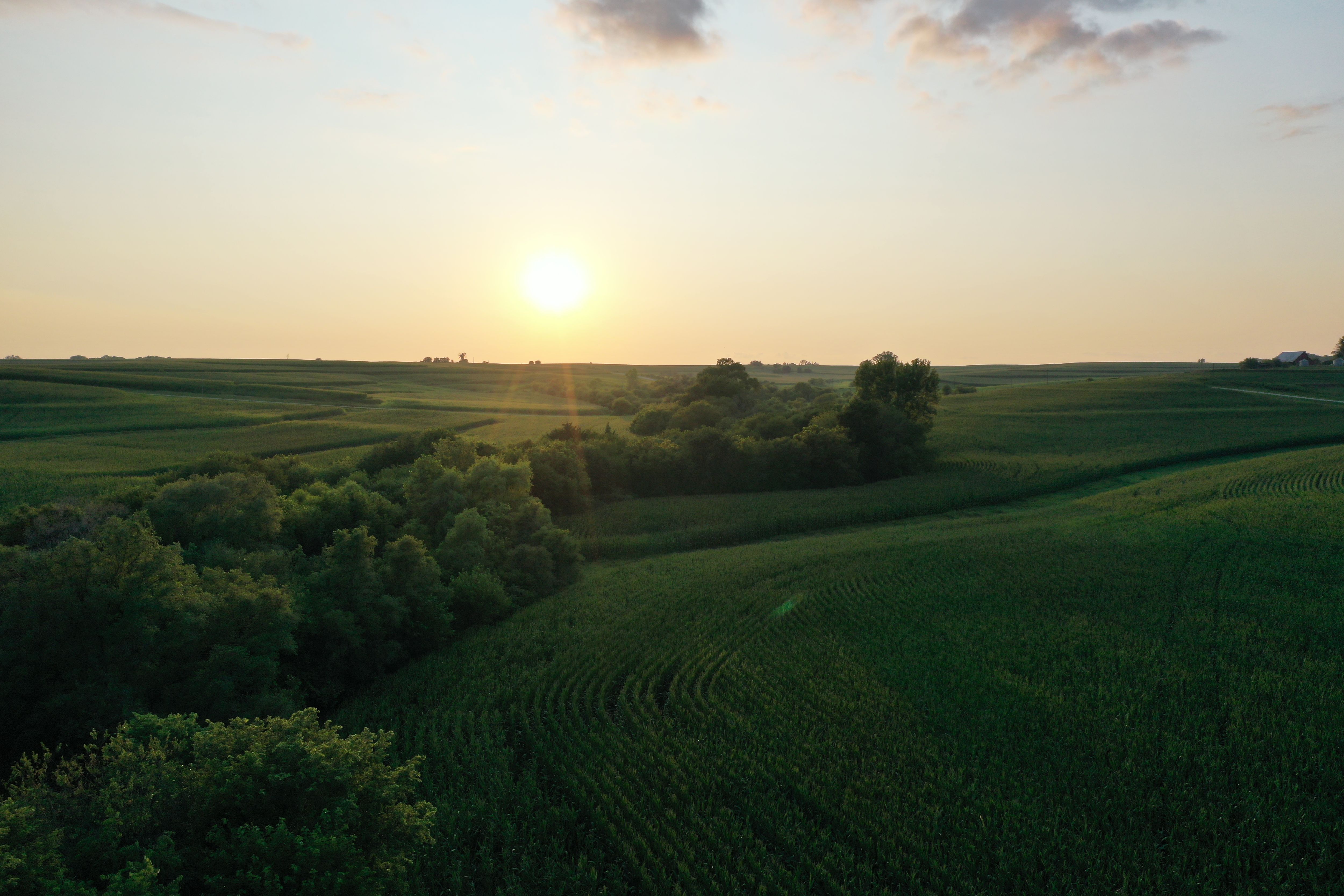 Listing Photo: DJI_0549