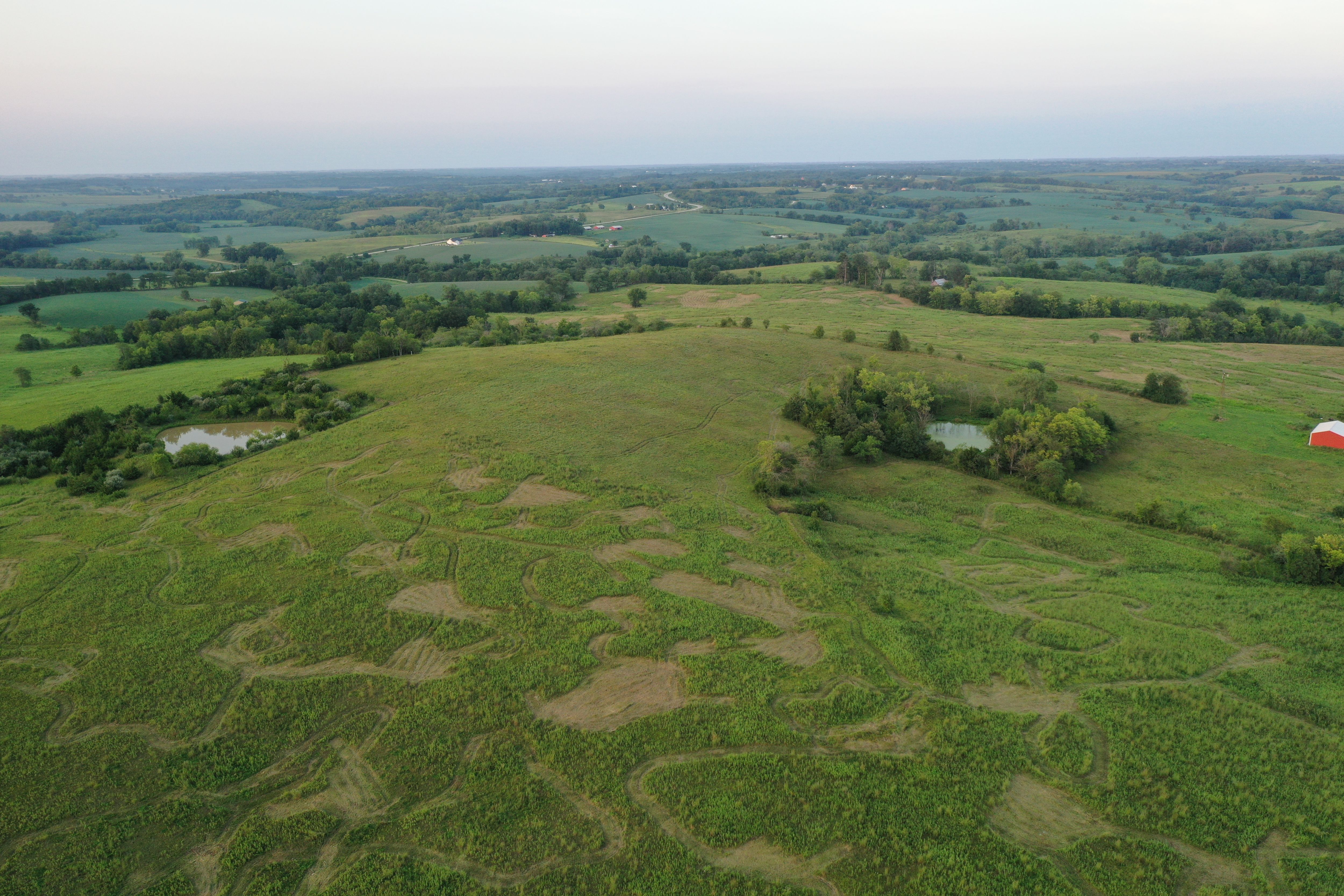 Listing Photo: DJI_0850