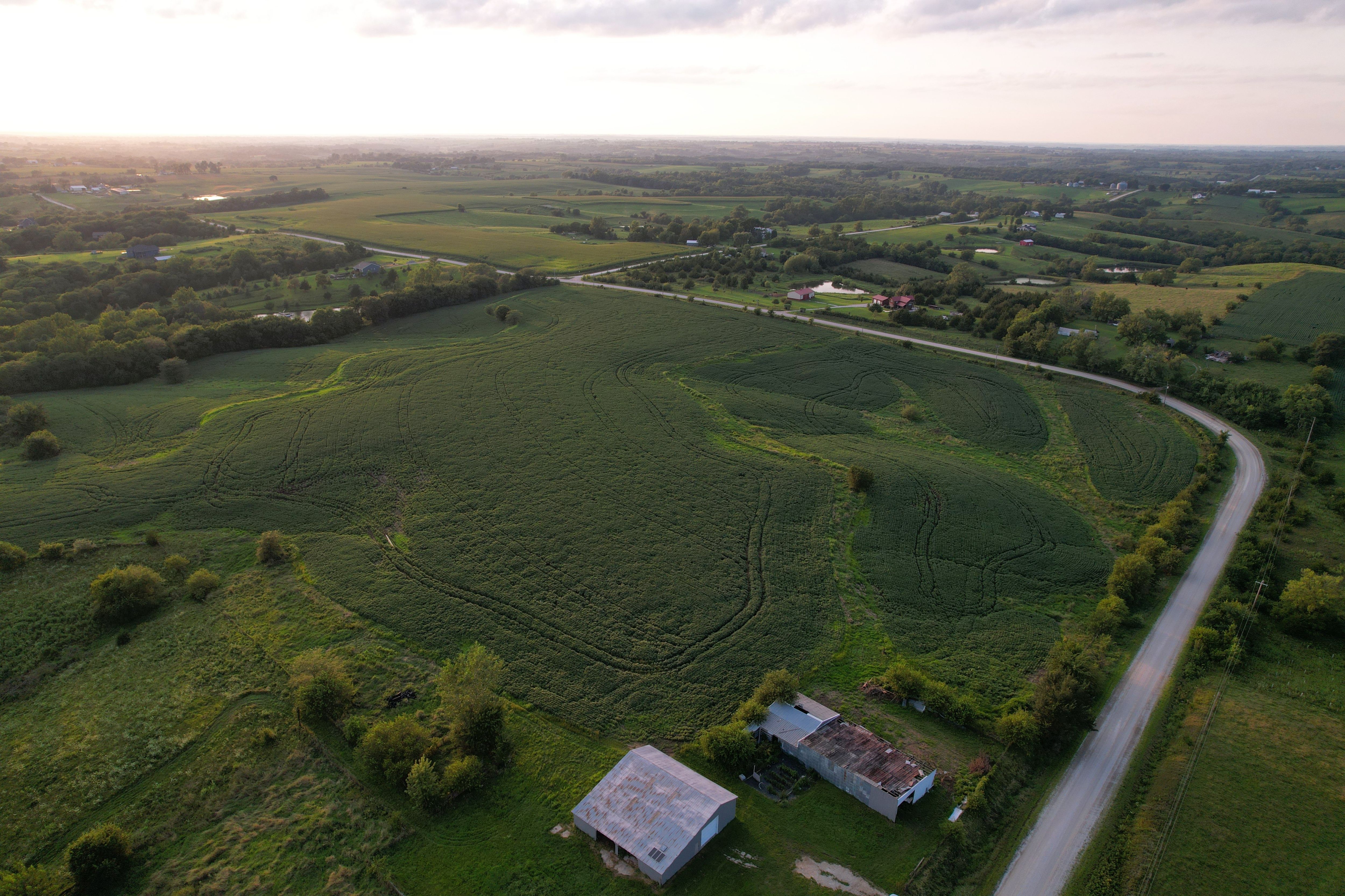 Listing Photo: DJI_0428