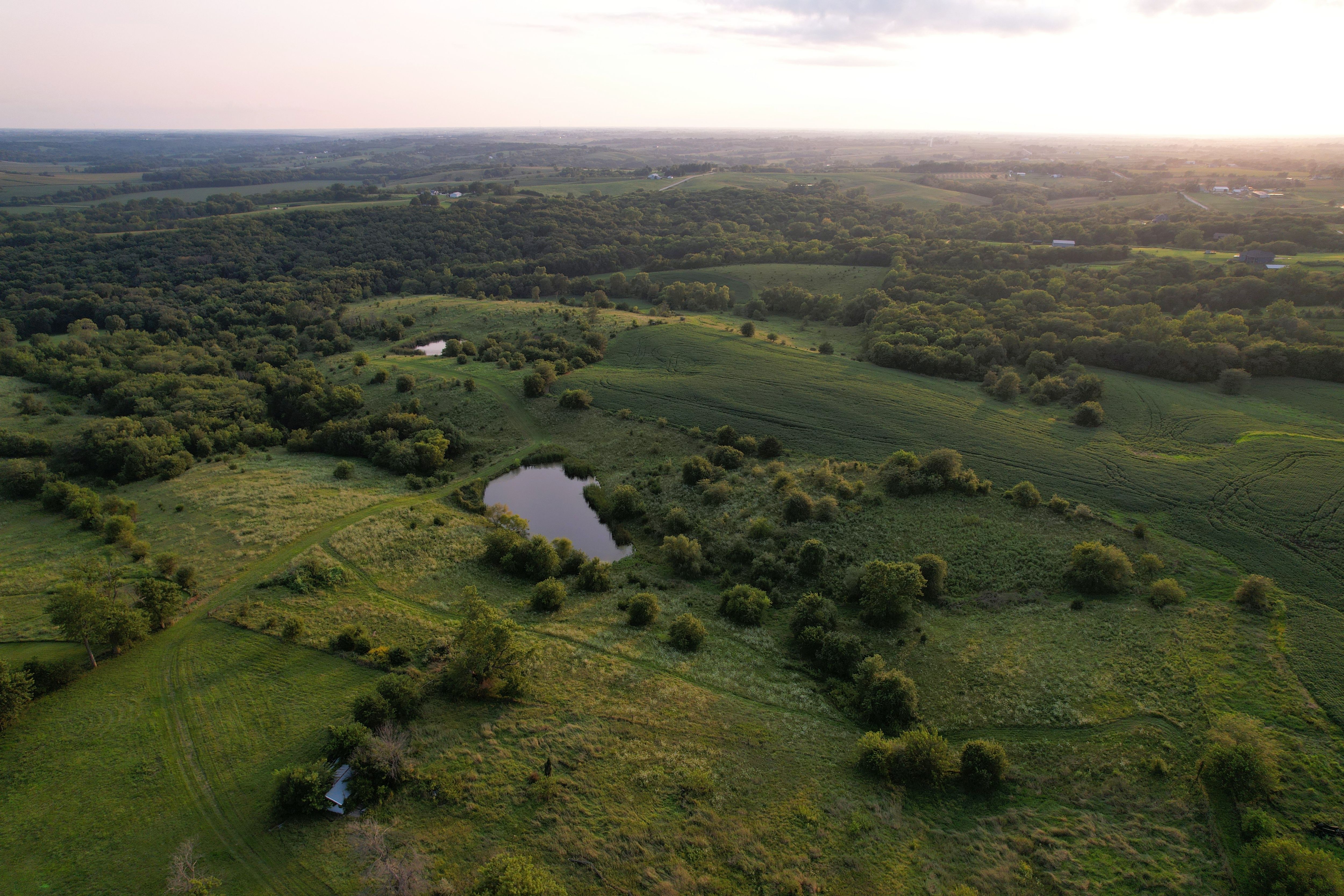 Listing Photo: DJI_0429
