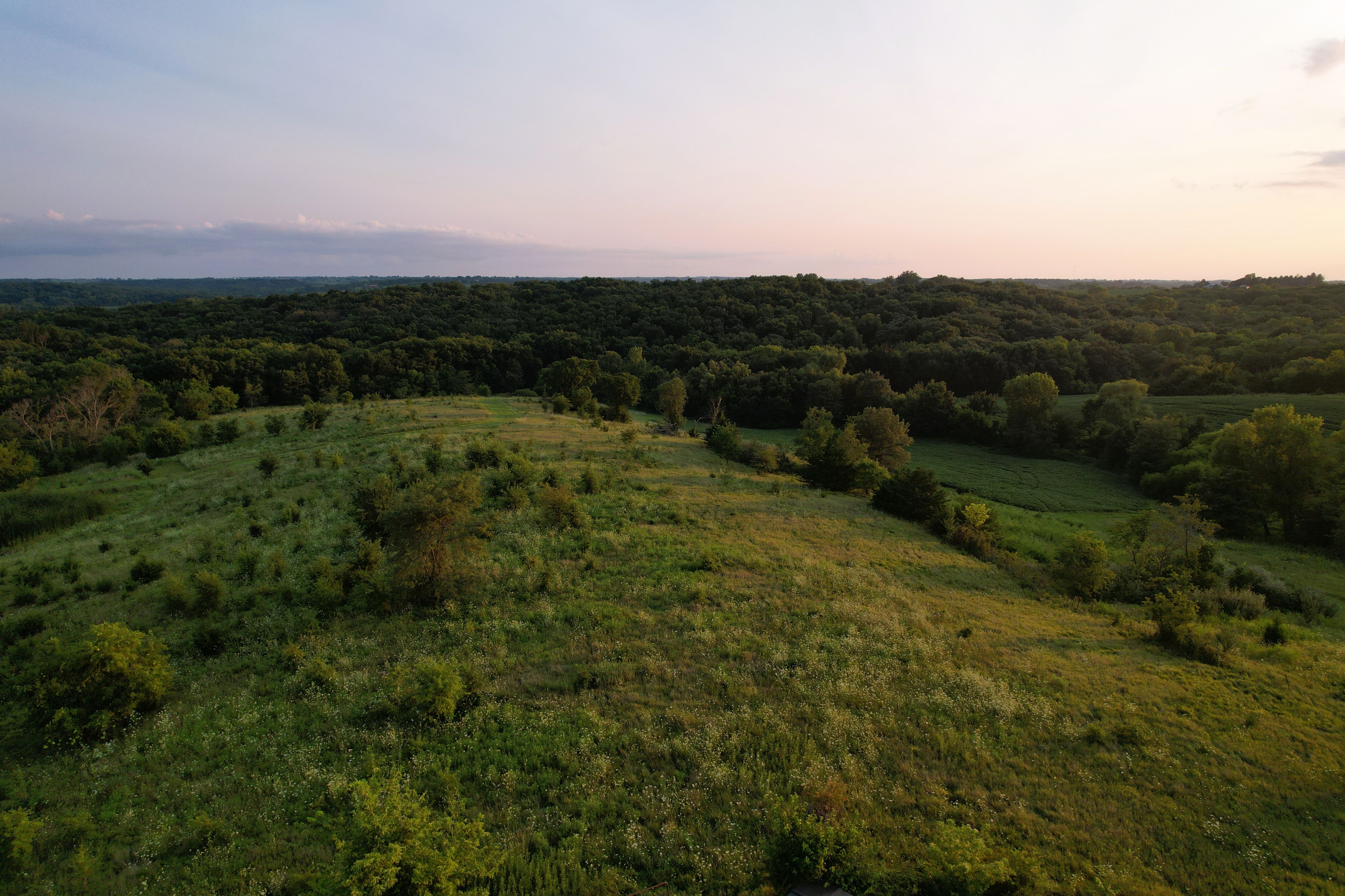 Listing Photo: DJI_0445