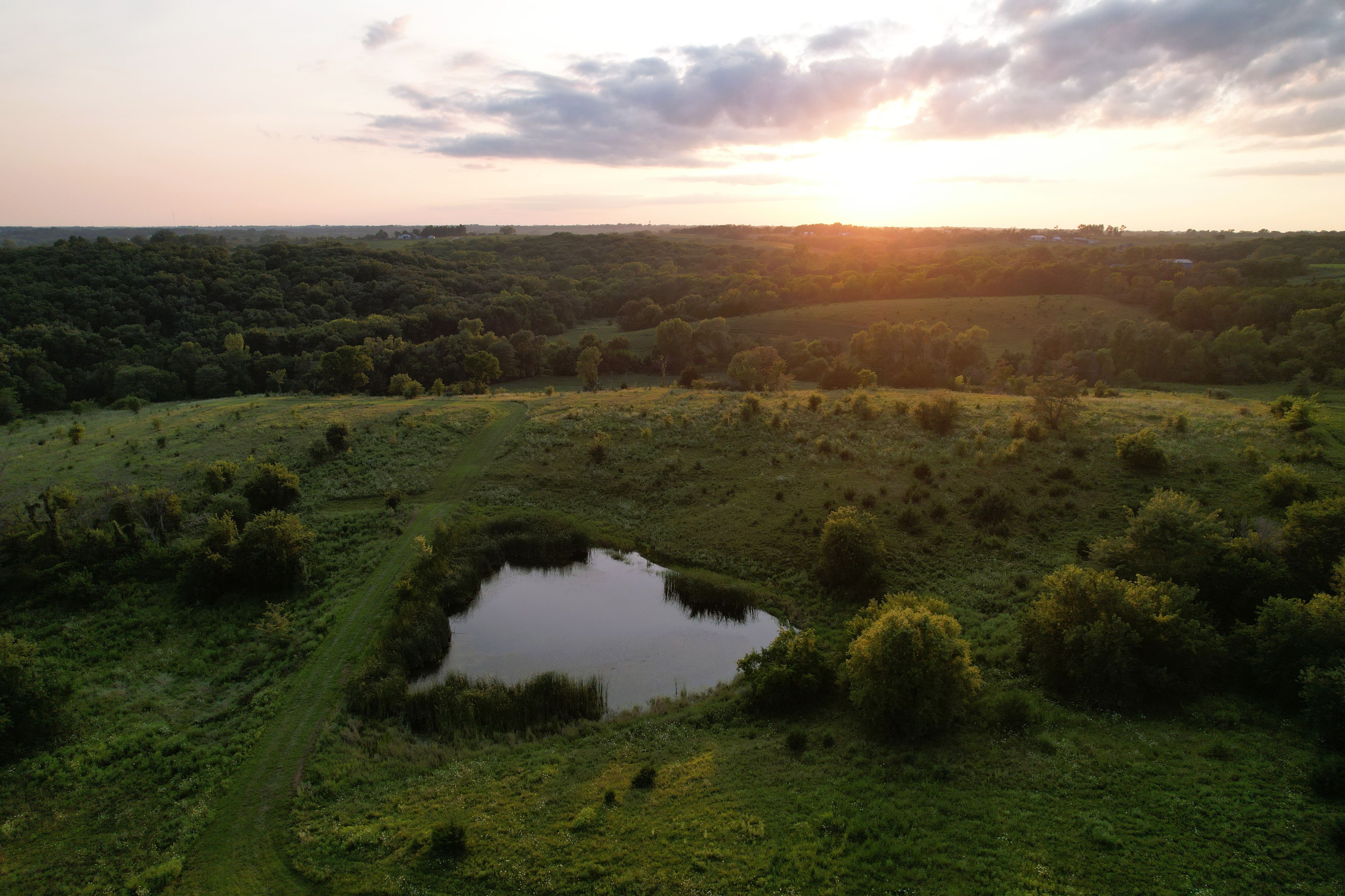 Listing Photo: DJI_0446