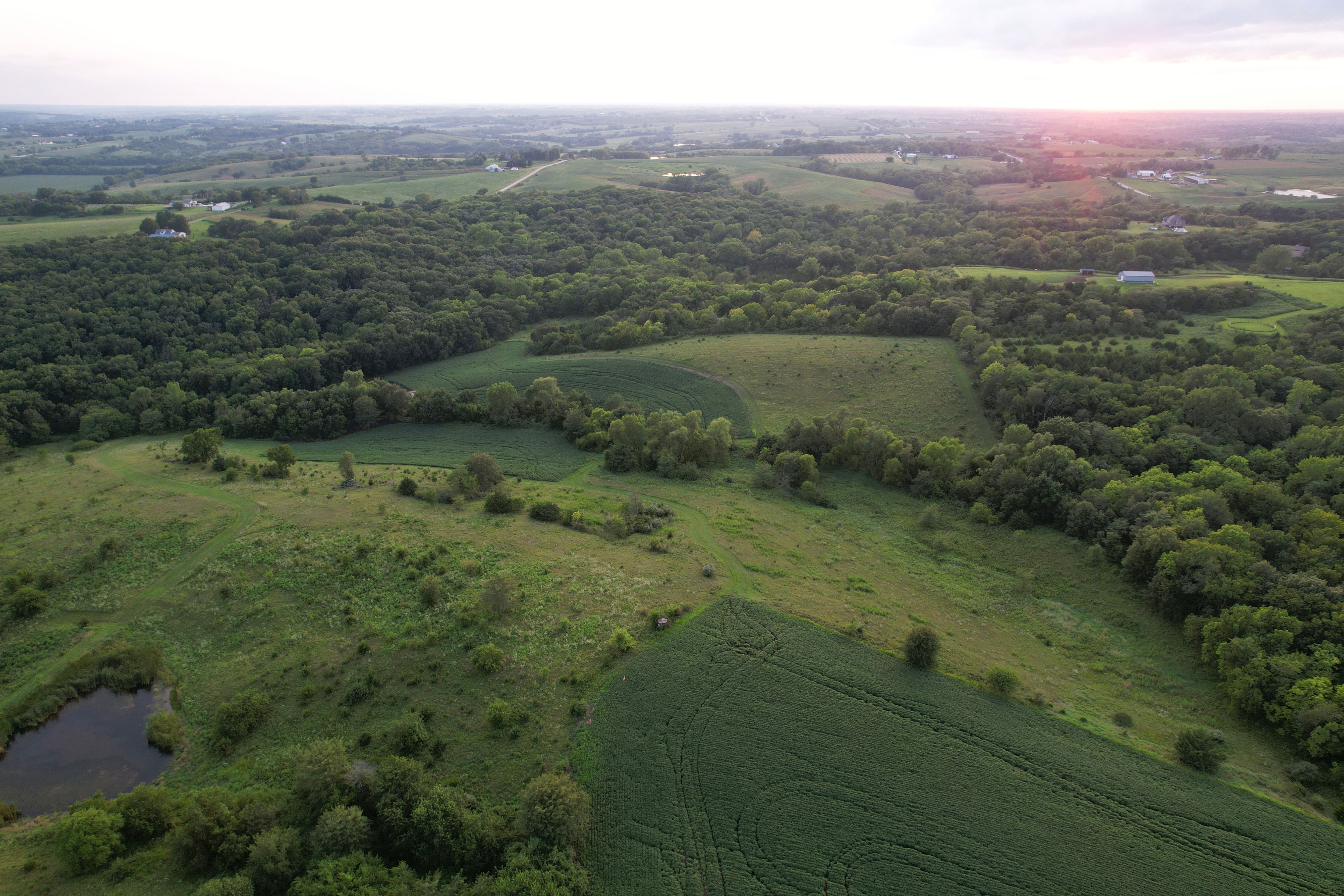 Listing Photo: DJI_0467
