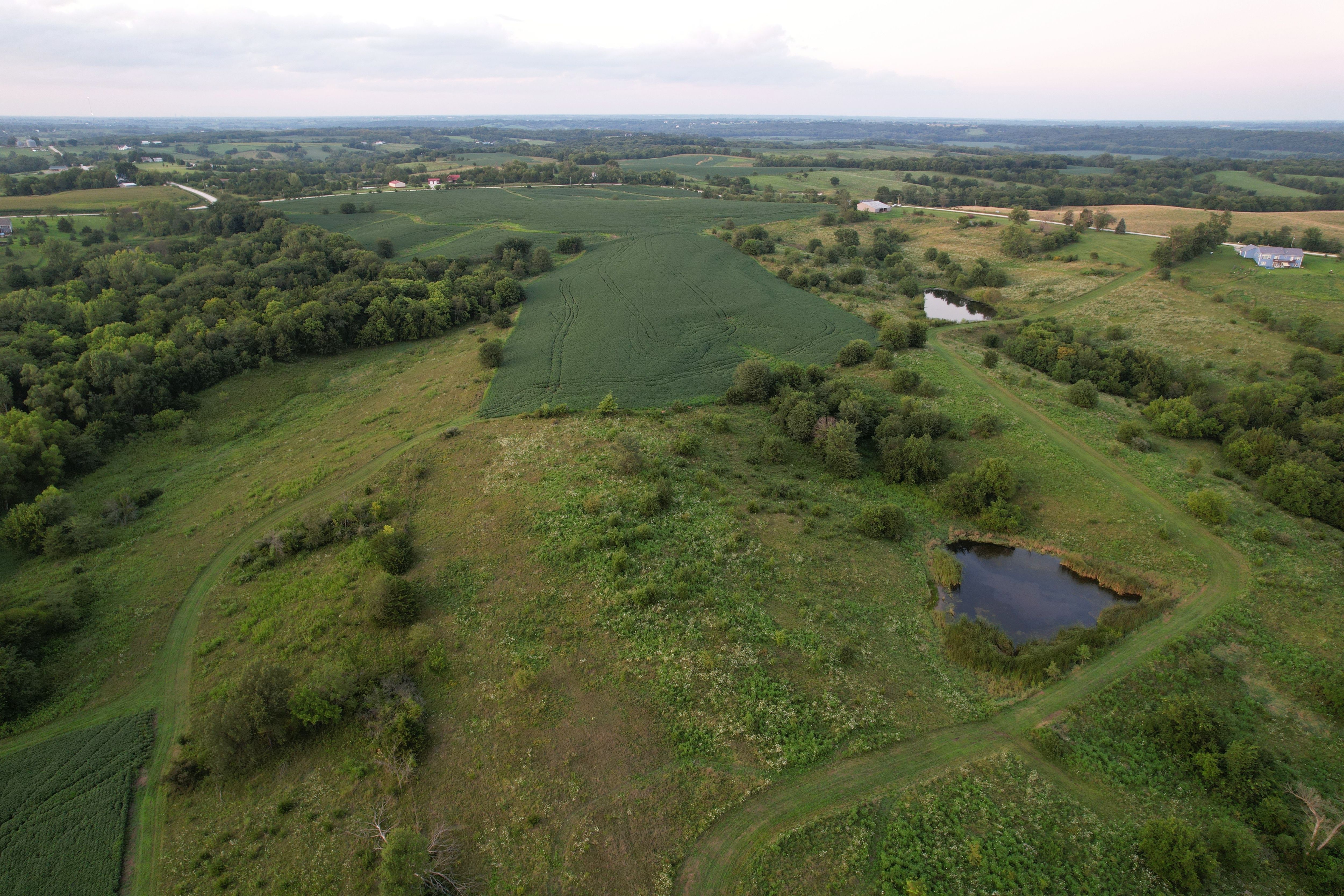 Listing Photo: DJI_0469
