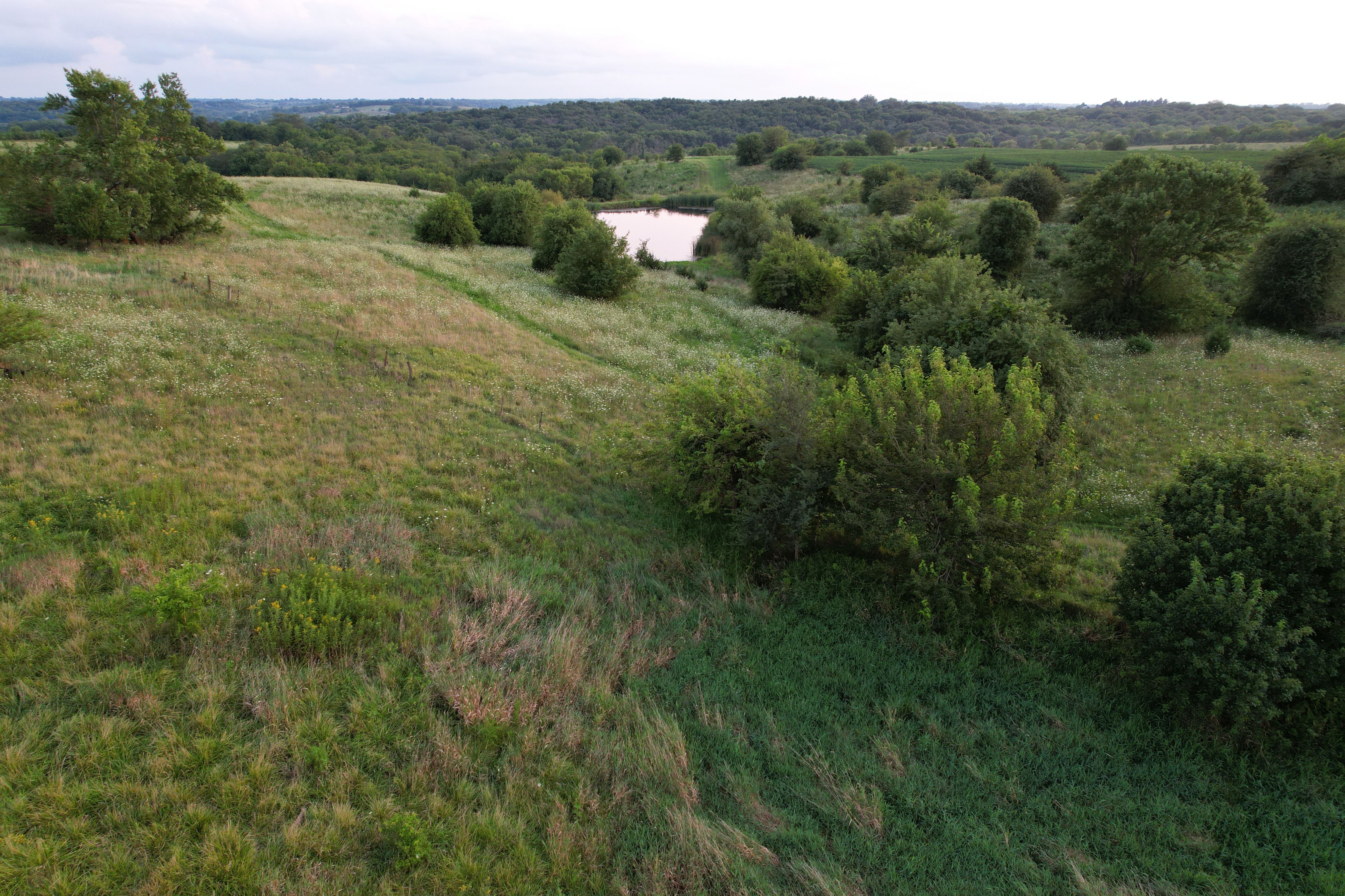 Listing Photo: DJI_0471