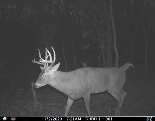 Listing Photo: Iowa deer hunting land for sale
