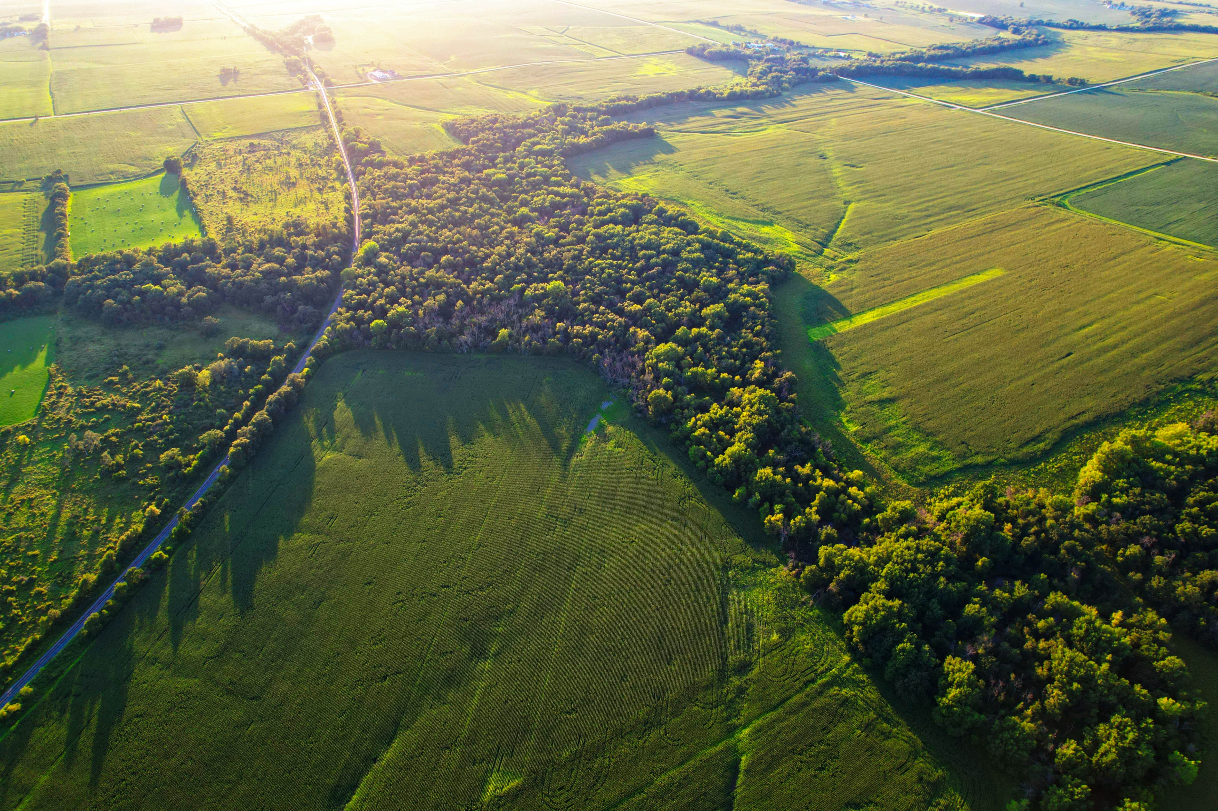 Listing Photo: Iowa-Recreational-Land