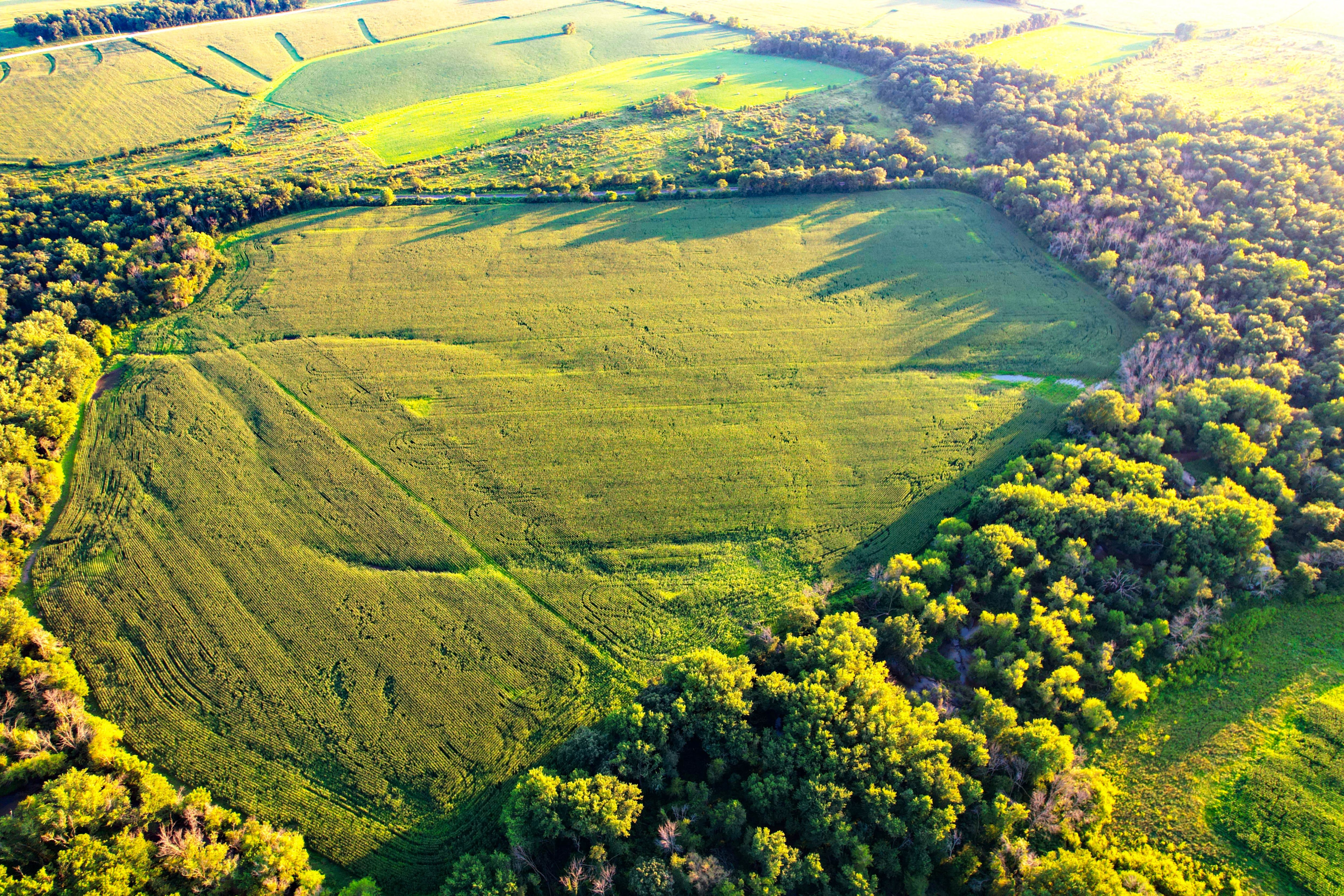 Listing Photo: Hunting-Land-With-Income-Iowa