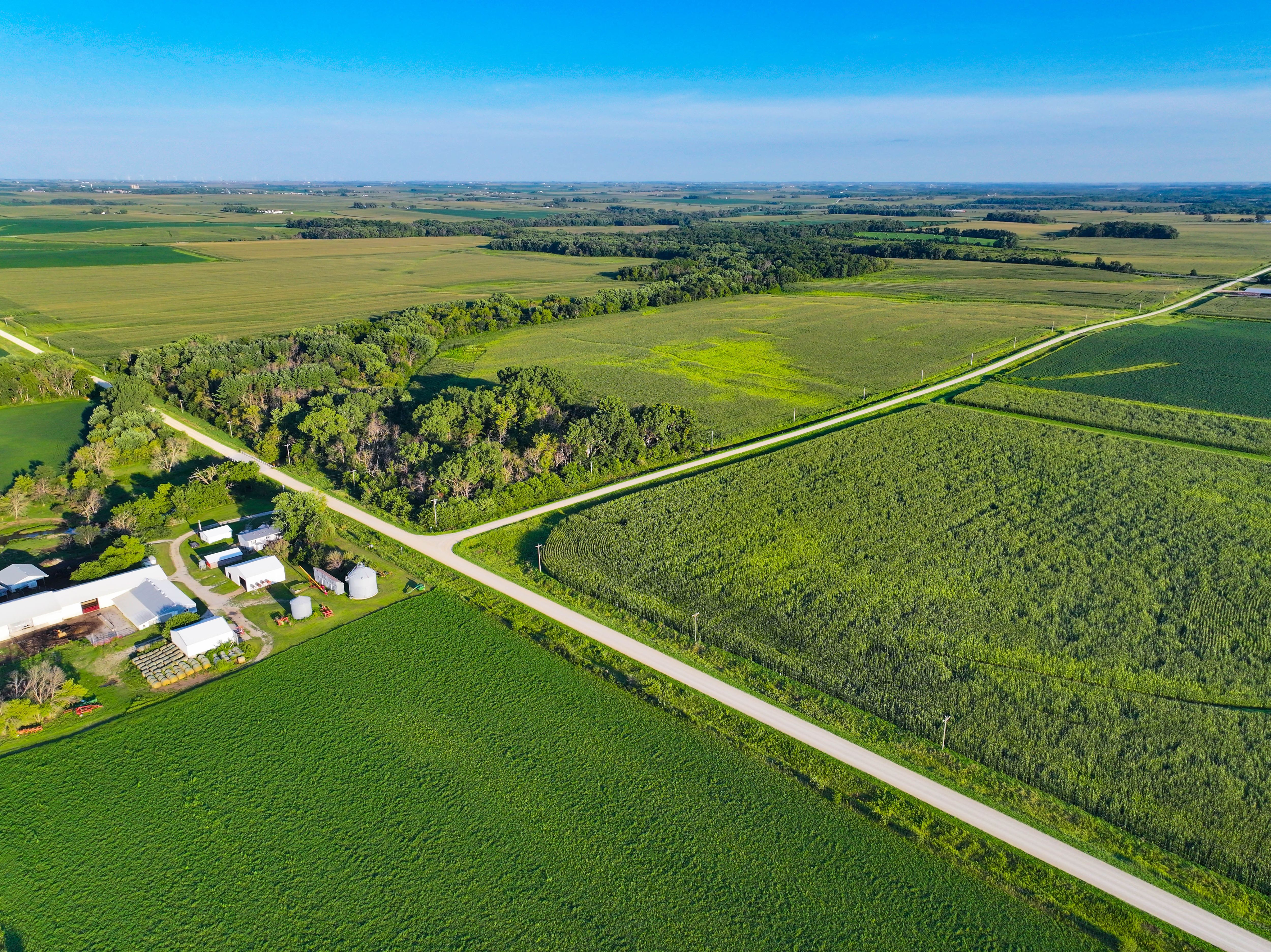 Listing Photo: Hunting land in Buchanan County