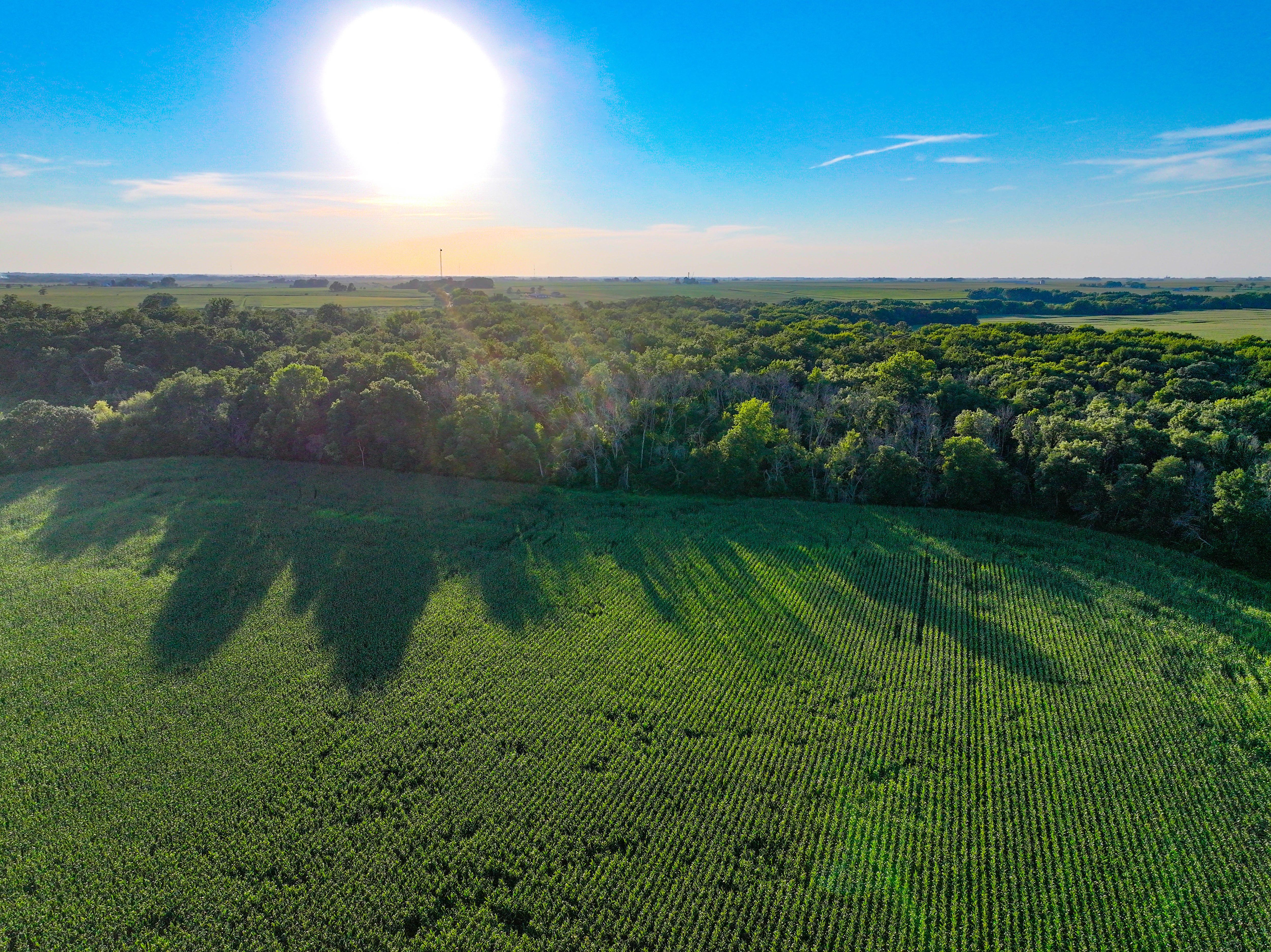 Listing Photo: Iowa recreational land
