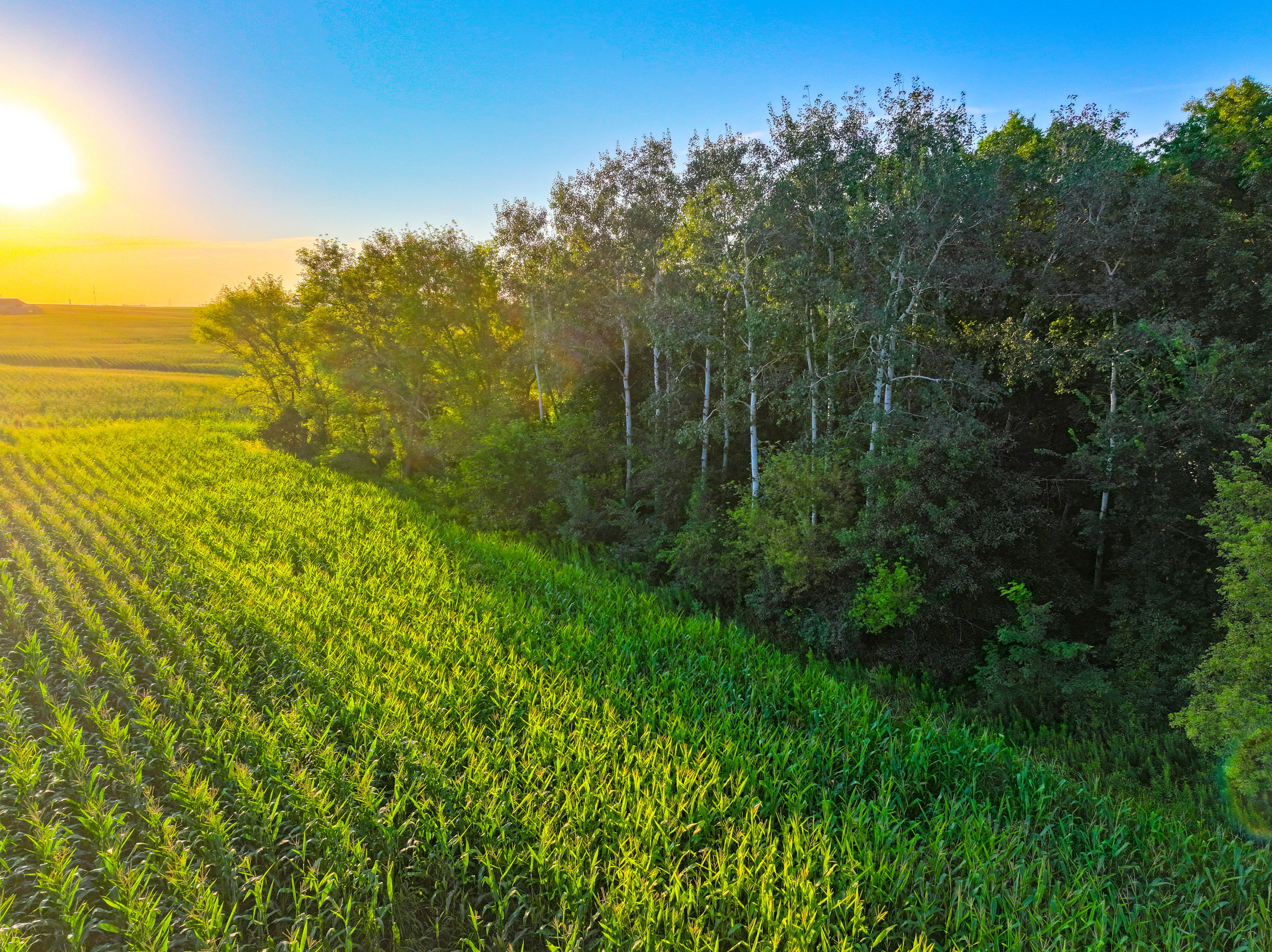 Listing Photo: Iowa hunting land for sale