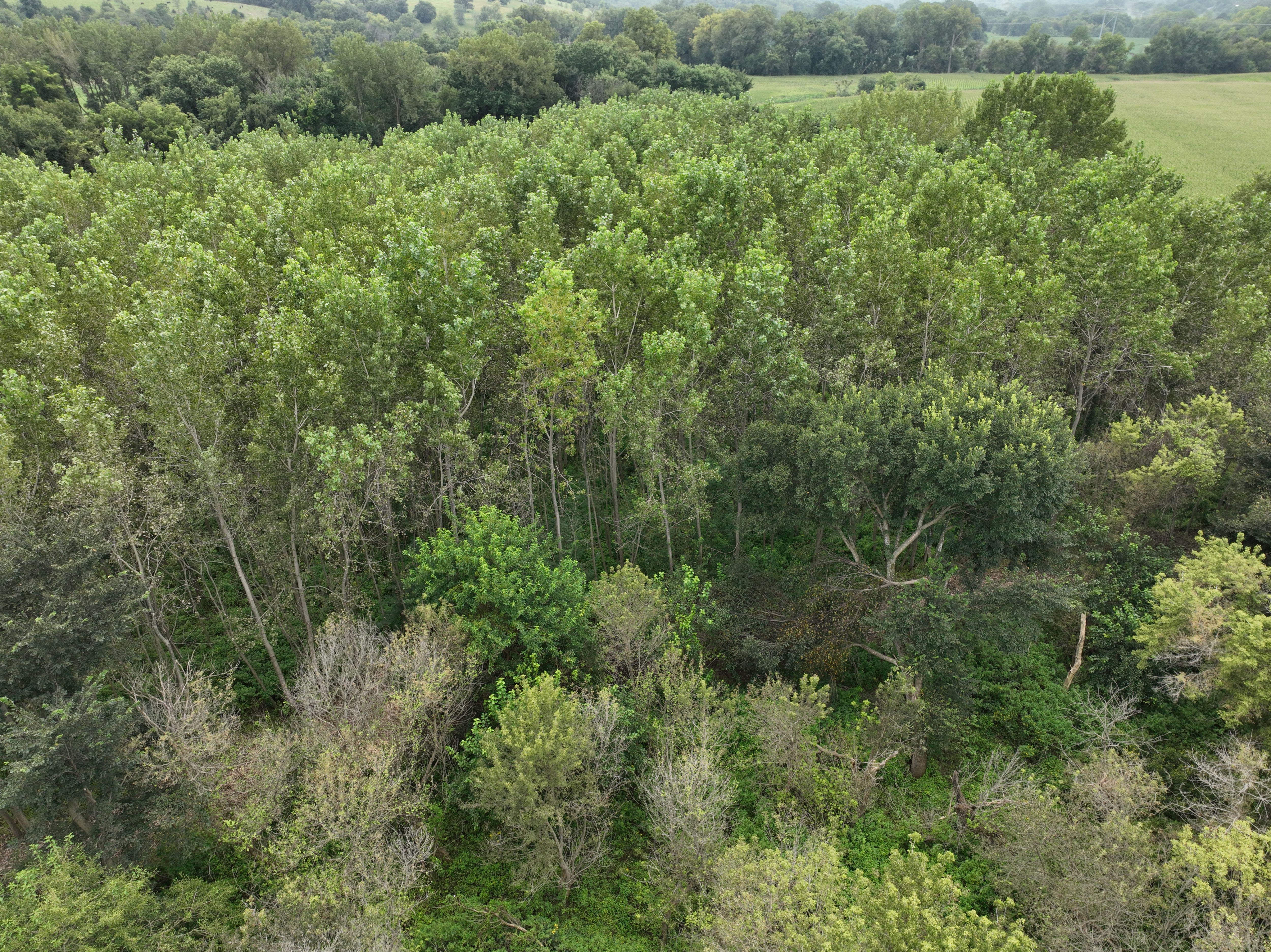 Listing Photo: DJI_0924