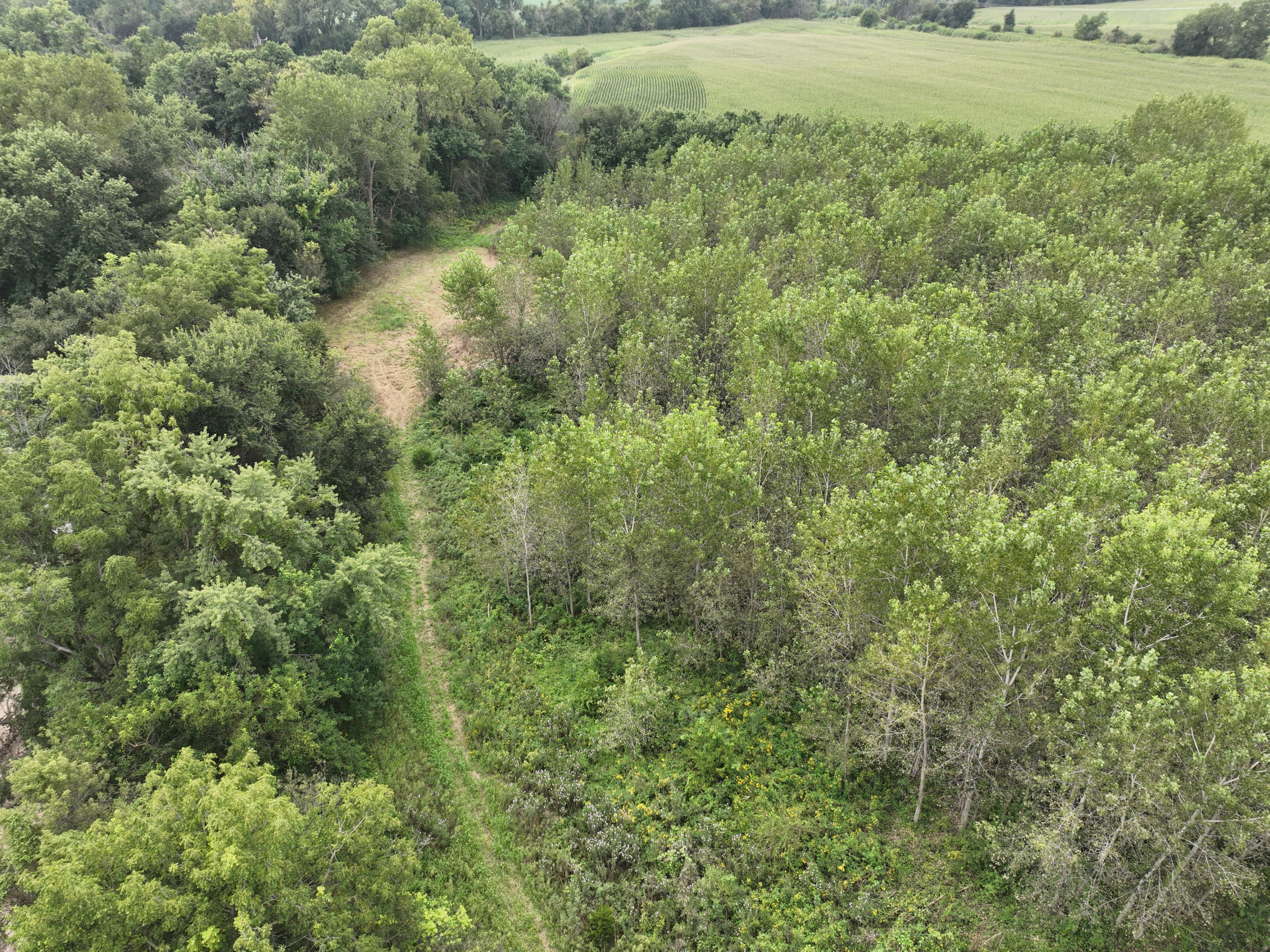 Listing Photo: DJI_0925