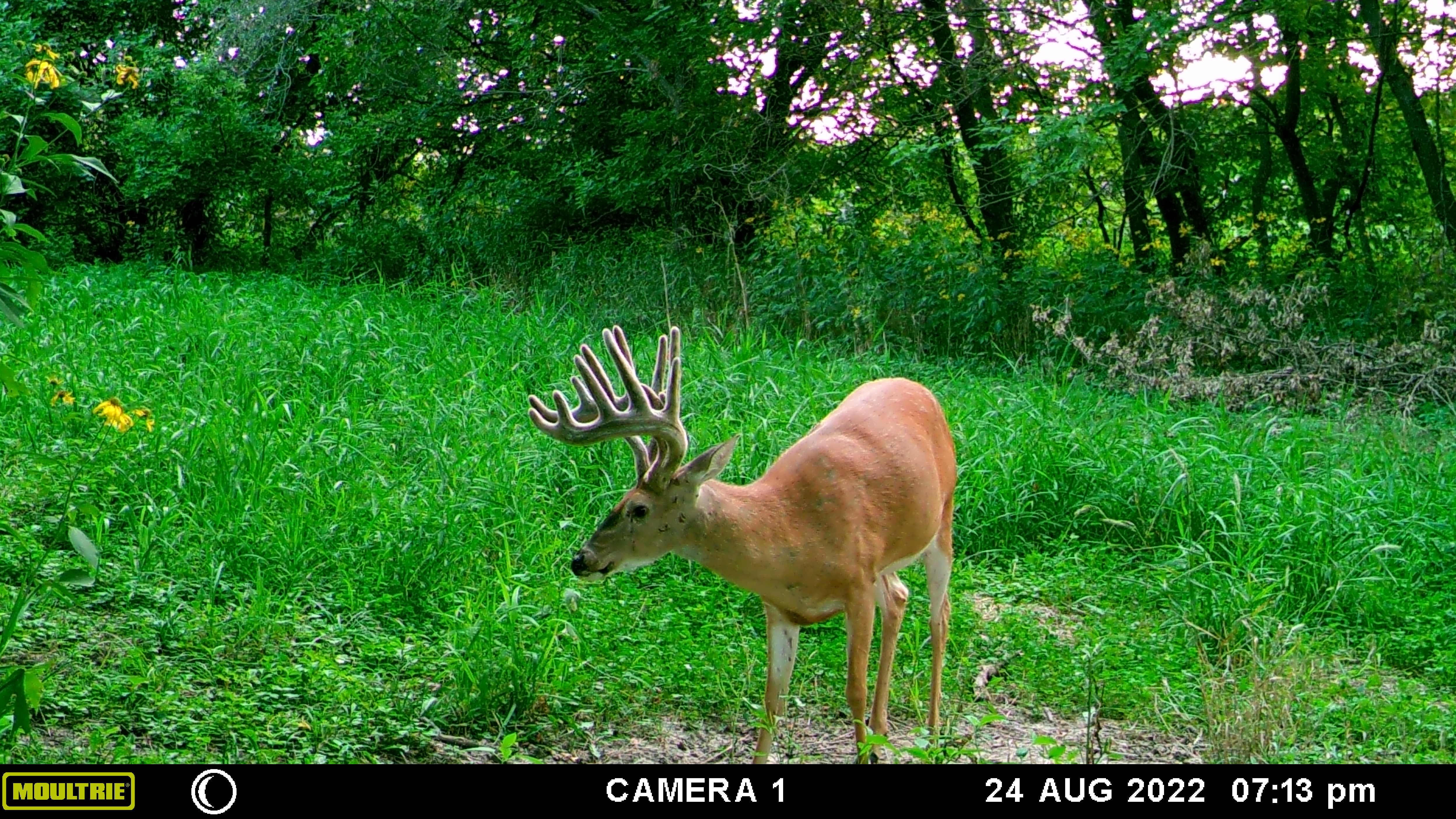 Listing Photo: MFDC3278