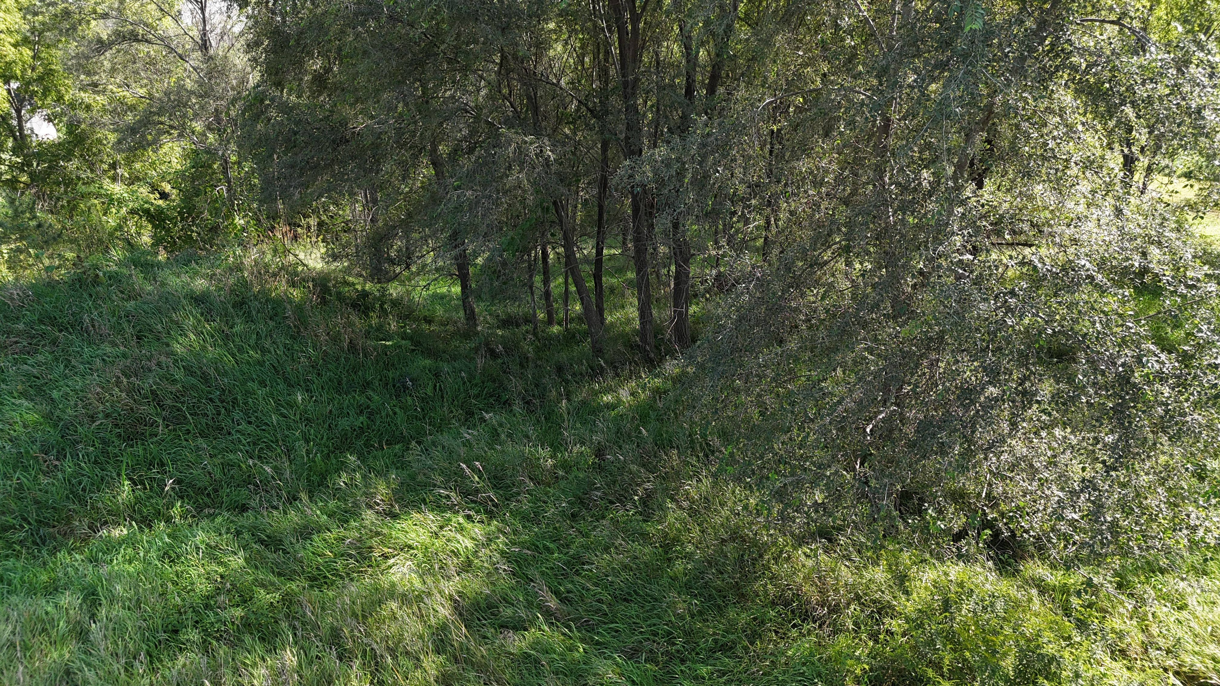 Listing Photo: DJI_20260828163743_0020_D