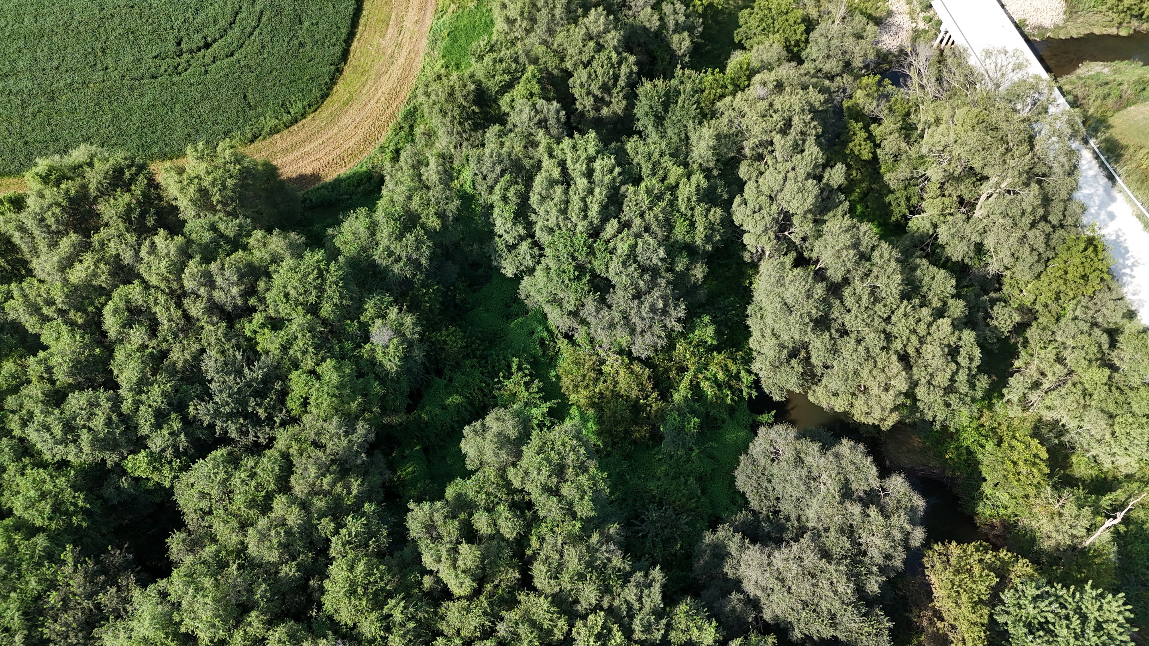 Listing Photo: DJI_20260828164144_0036_D