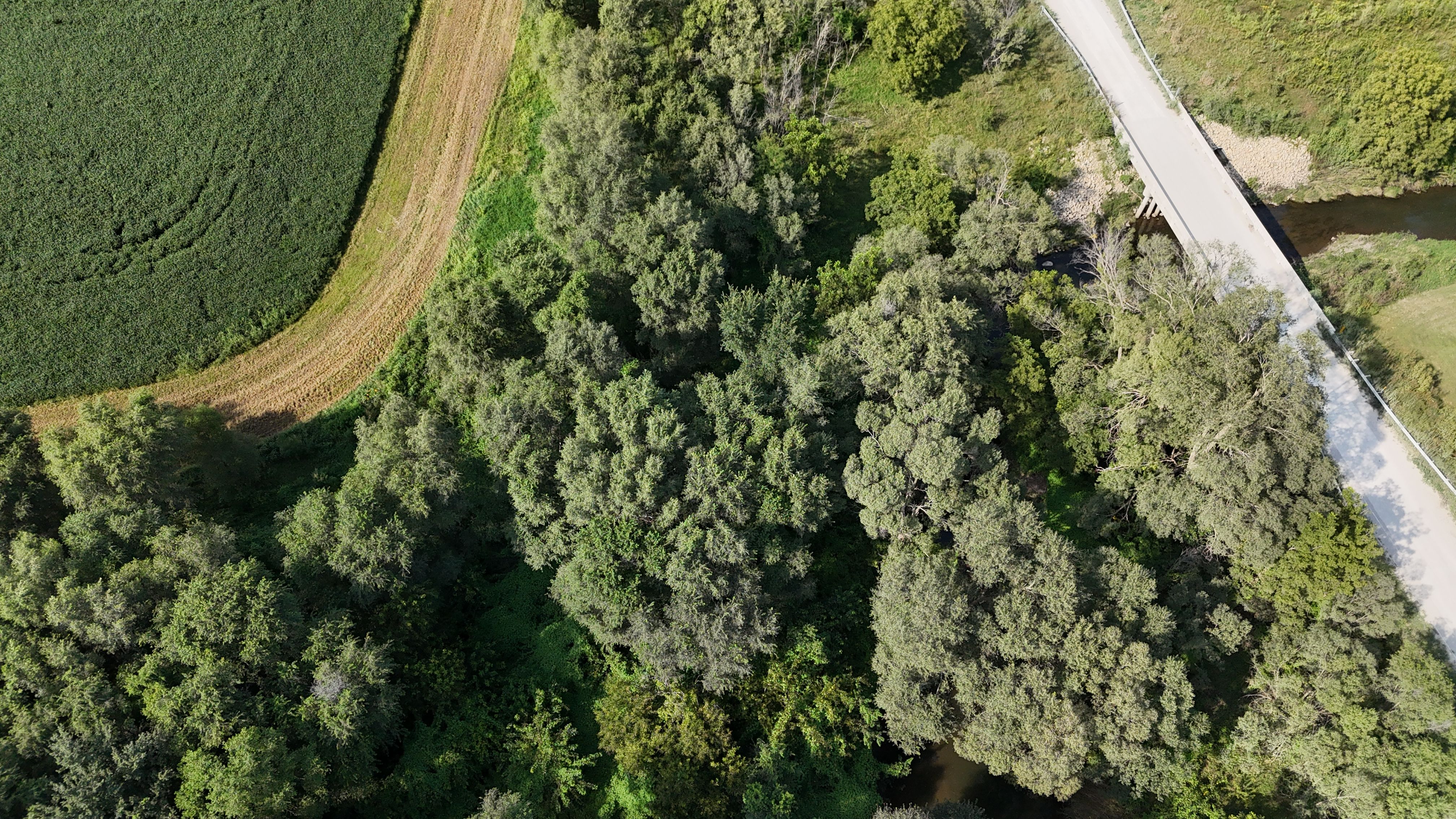 Listing Photo: DJI_20260828164145_0037_D