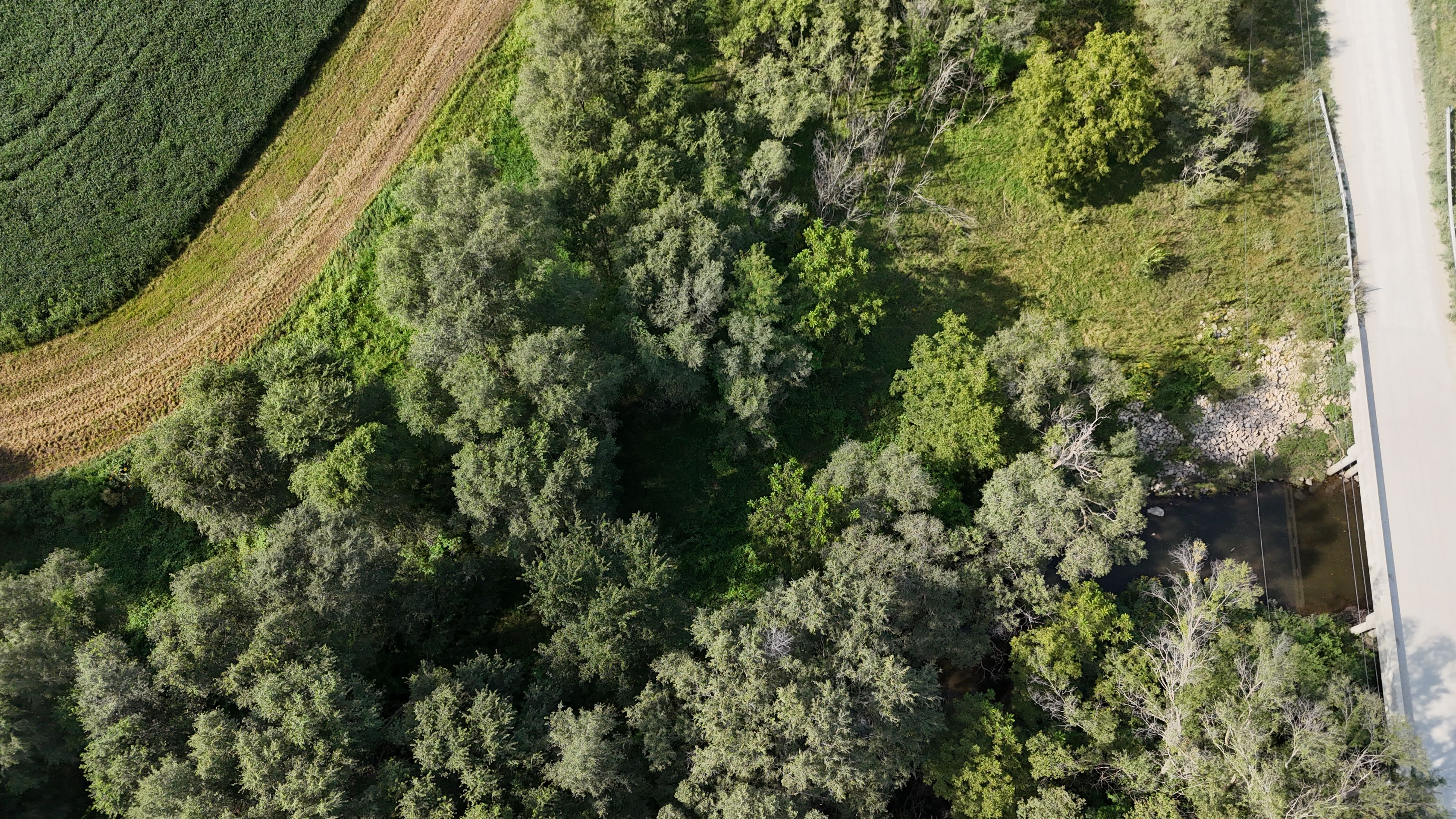 Listing Photo: DJI_20260828164150_0038_D