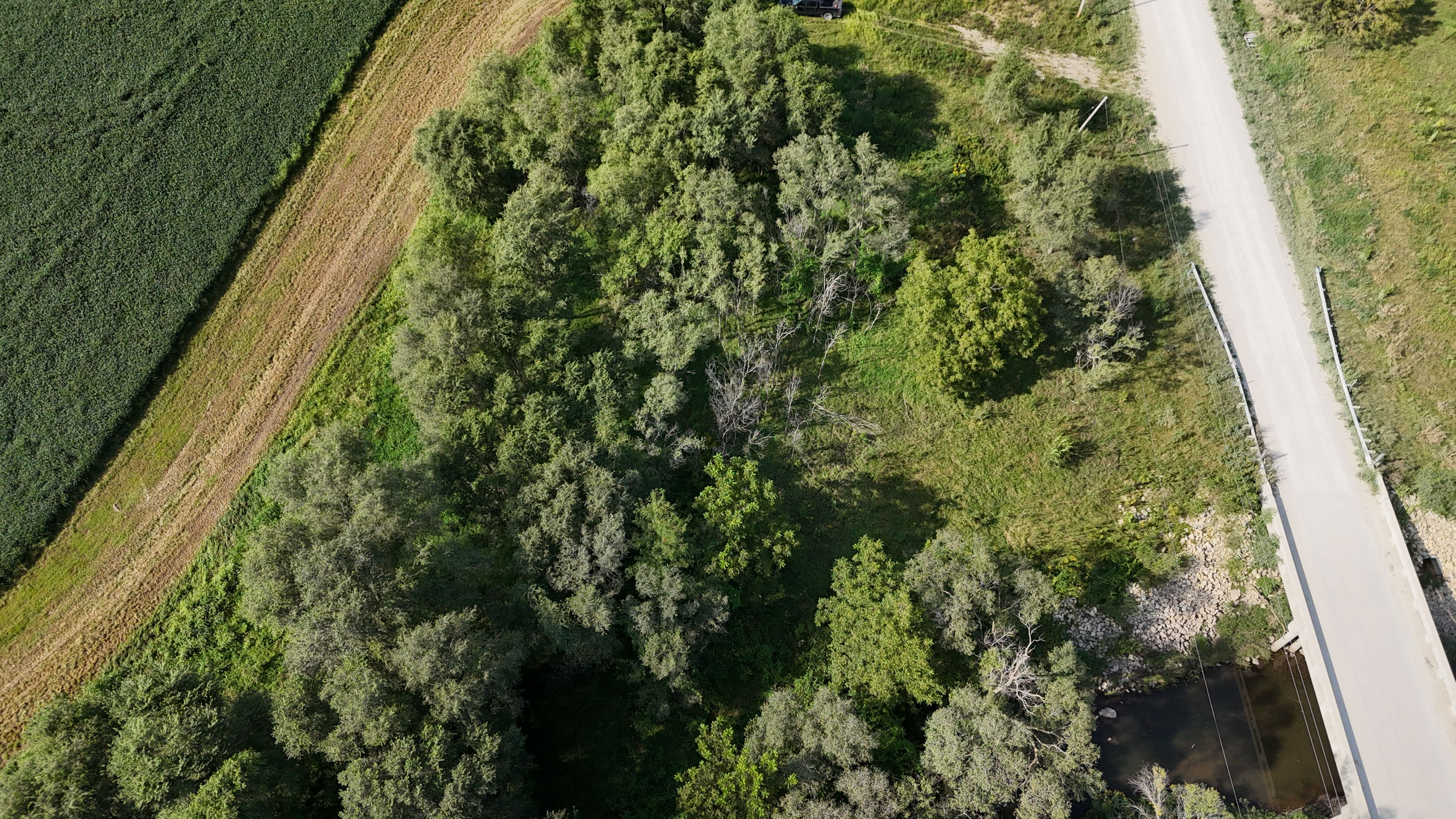 Listing Photo: DJI_20260828164153_0039_D