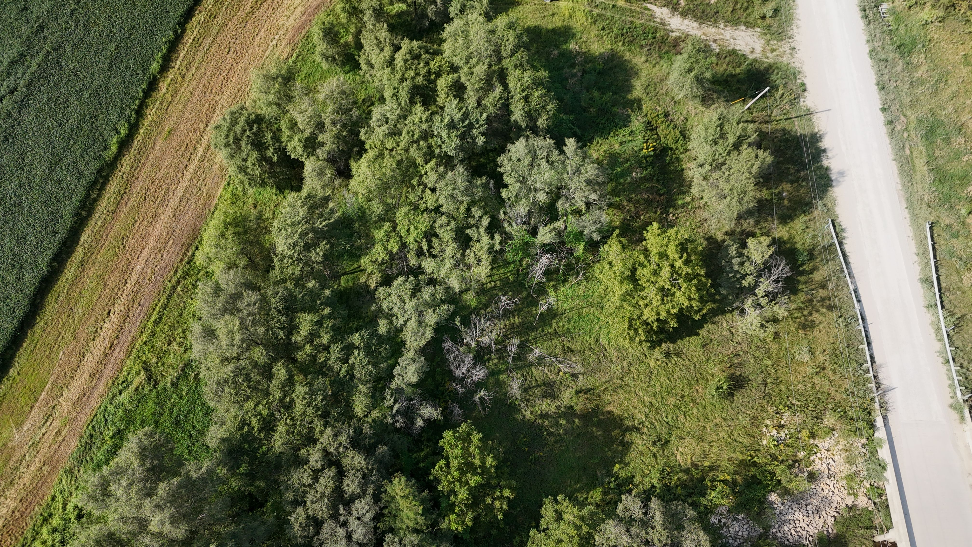 Listing Photo: DJI_20260828164158_0040_D