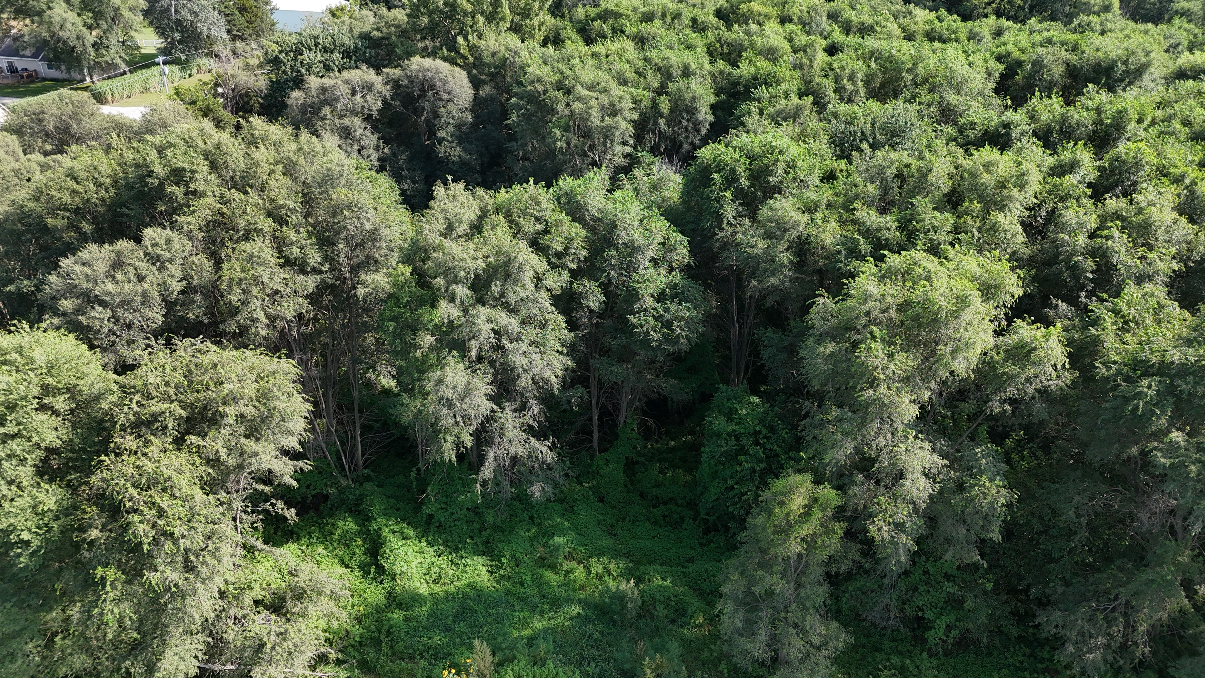 Listing Photo: DJI_20260828164226_0041_D
