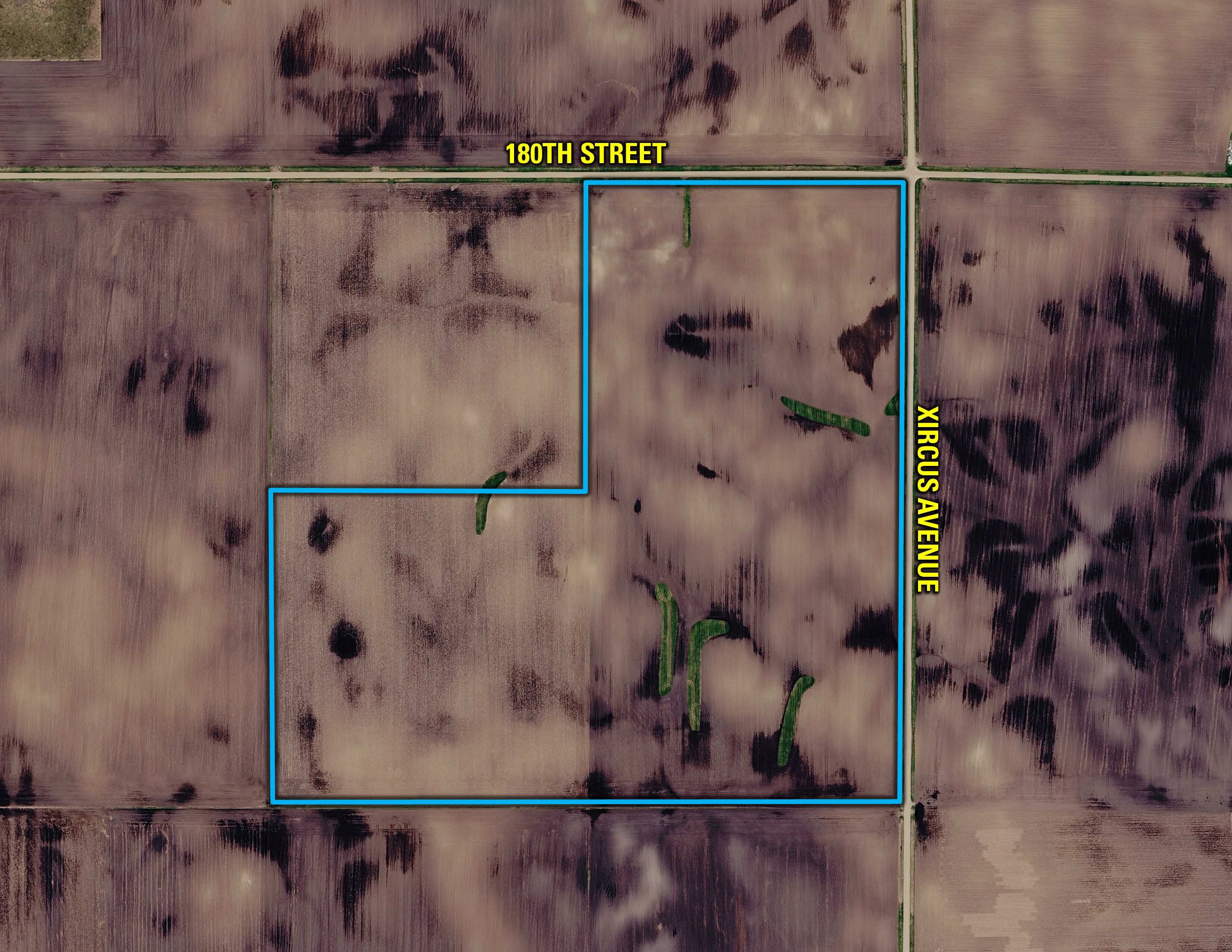 Listing Photo: 2036a9ed-249b-4d24-b418-7696212ee2df-0