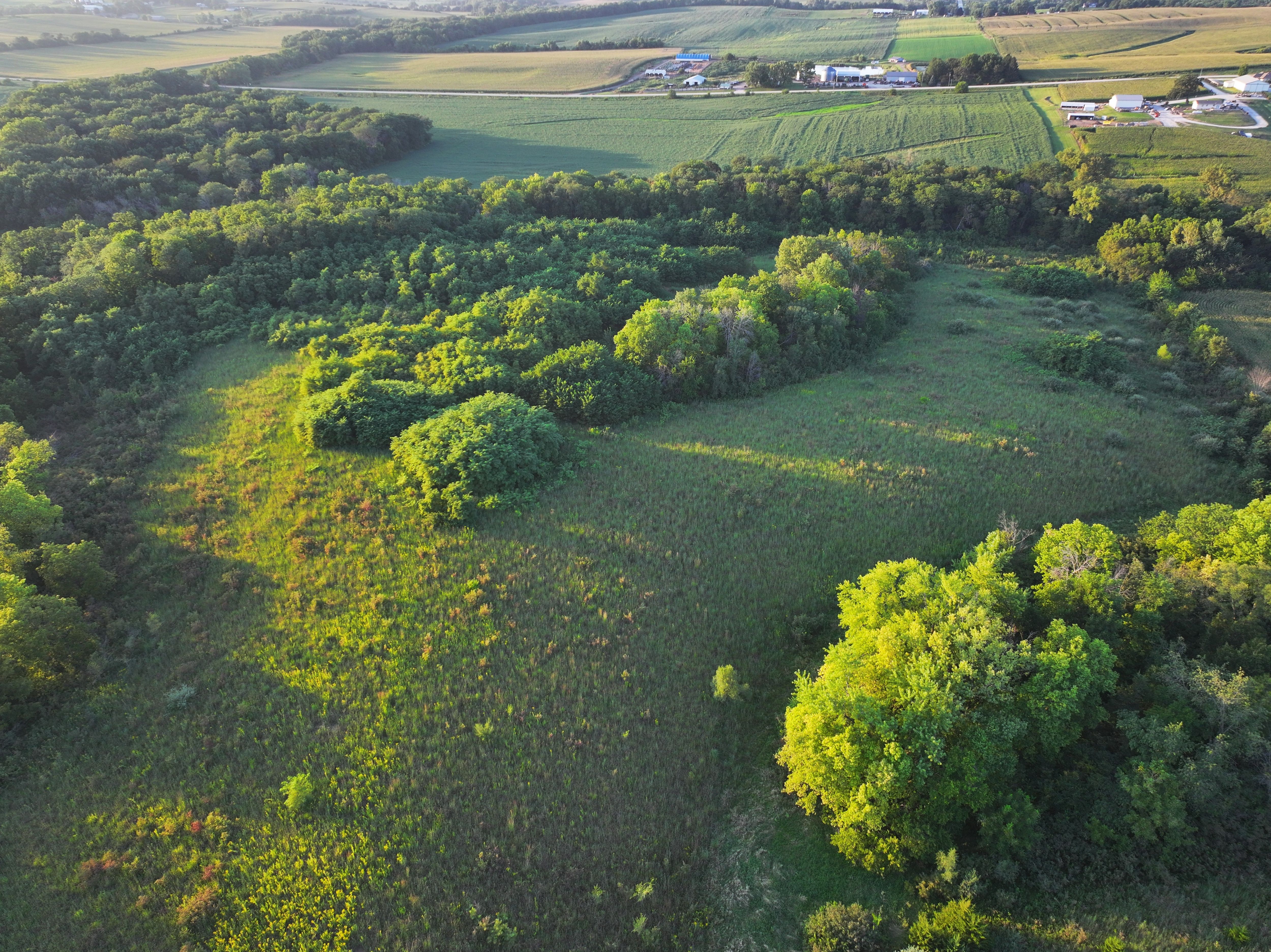 Listing Photo: DJI_20260901193351_0013_D-1