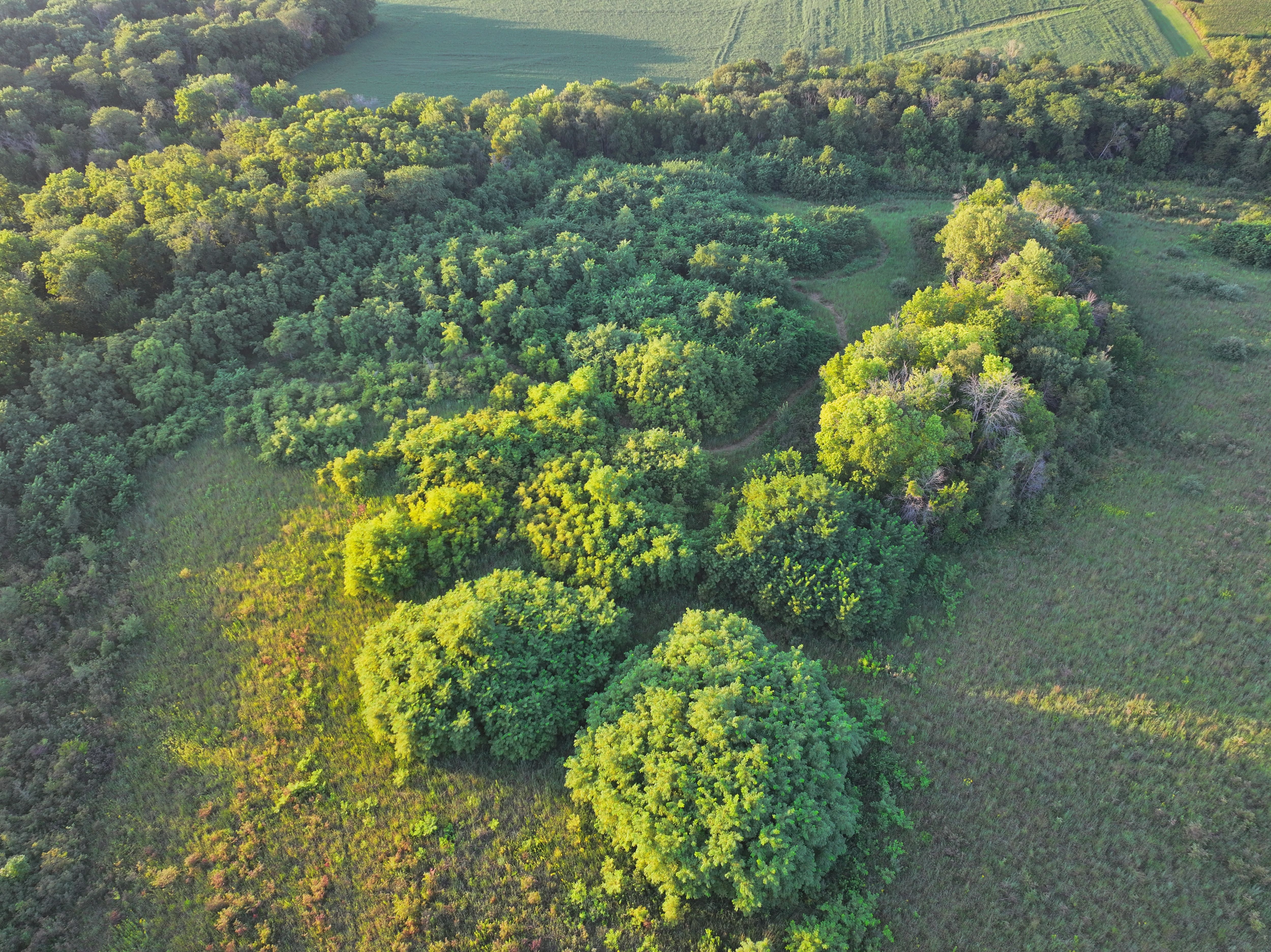Listing Photo: DJI_20260901193626_0020_D