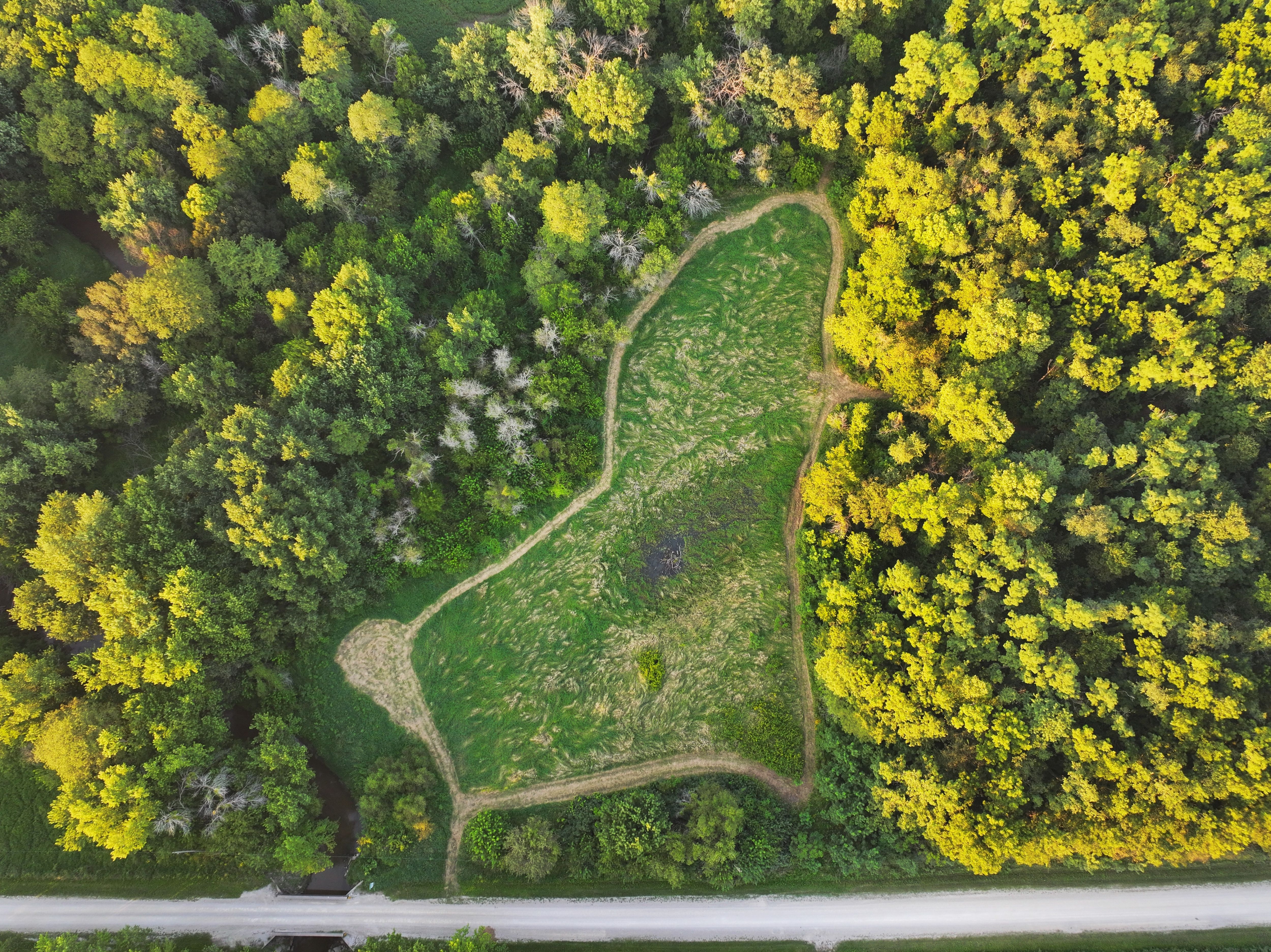 Listing Photo: DJI_20260901193817_0024_D-1